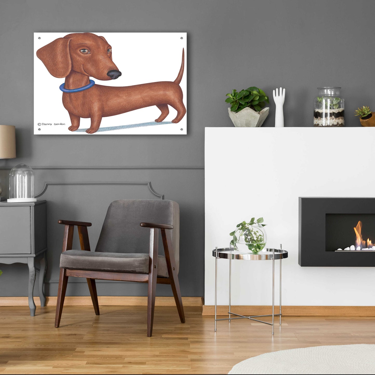 Epic Art 'Brown Dachshund Blue Collar' by Danny Gordon Art, Acrylic Glass Wall Art,36x24