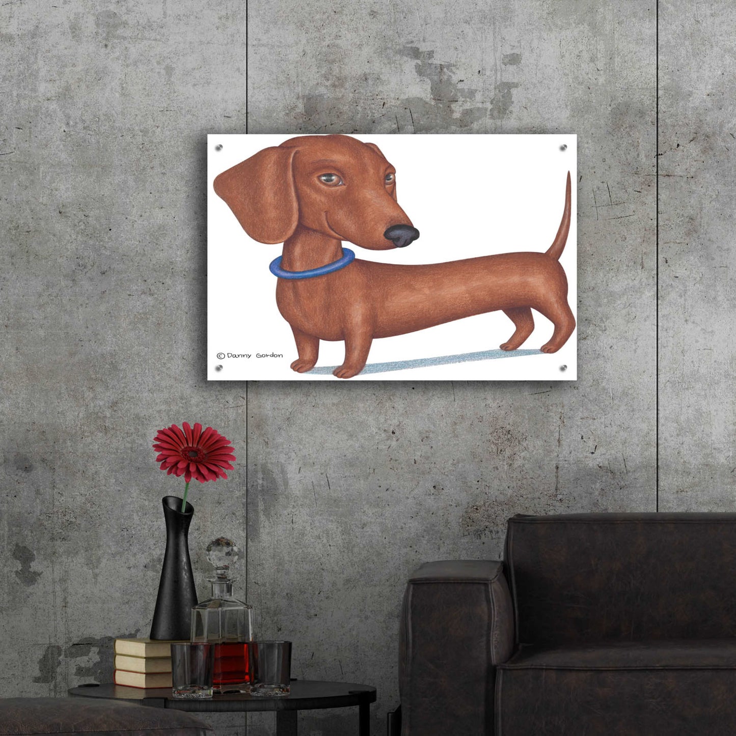 Epic Art 'Brown Dachshund Blue Collar' by Danny Gordon Art, Acrylic Glass Wall Art,36x24