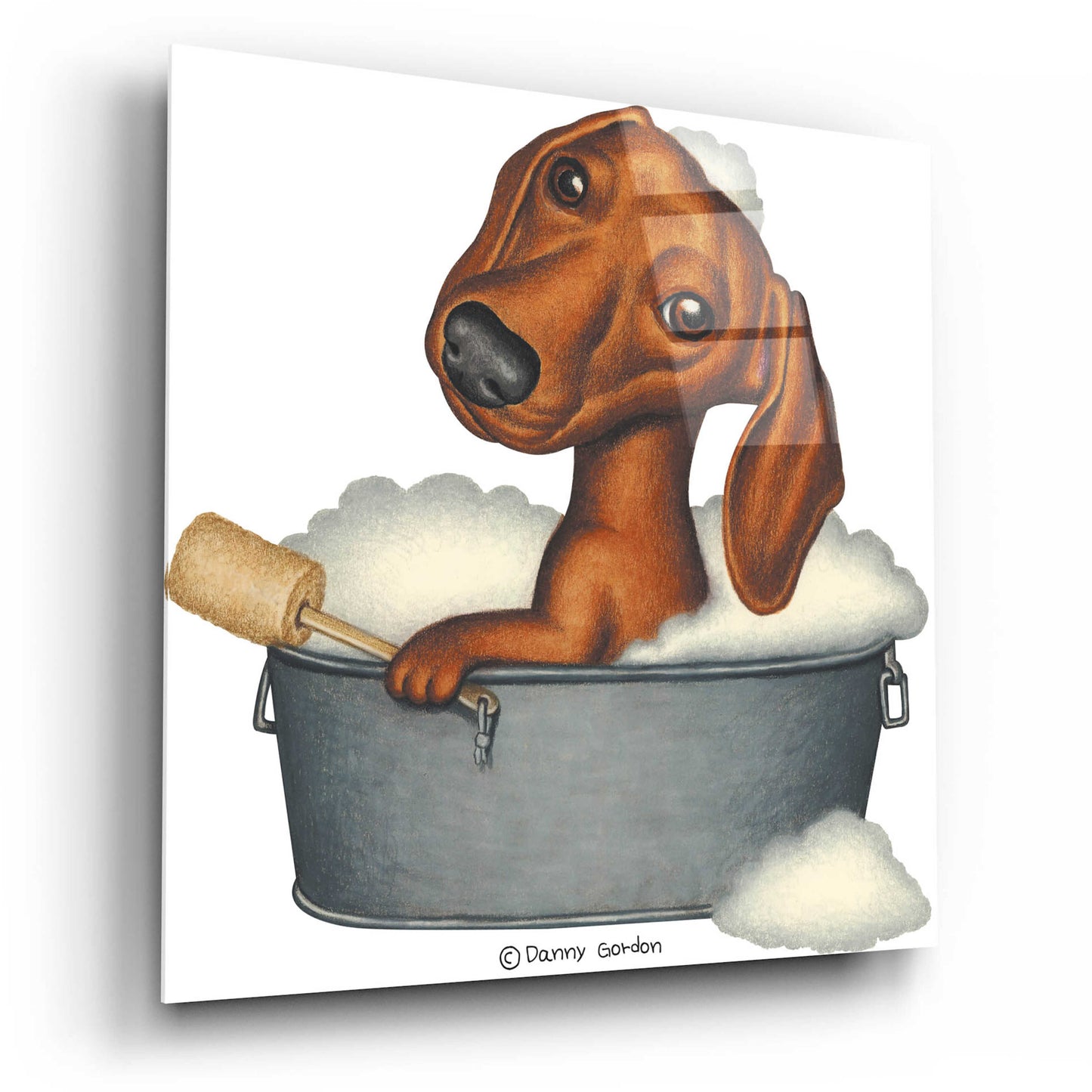 Epic Art 'Brown Dachshund Bubble Bath' by Danny Gordon Art, Acrylic Glass Wall Art,12x12