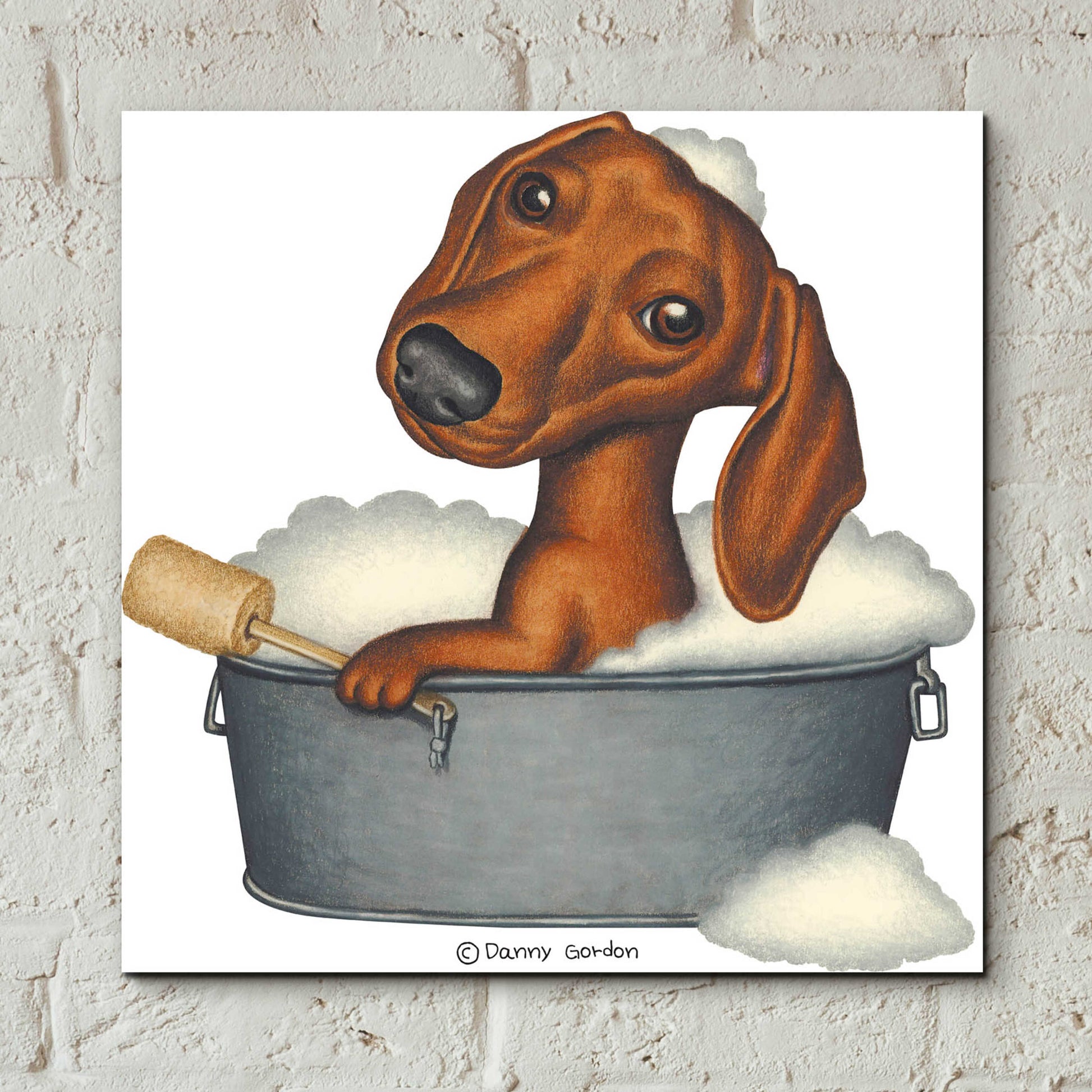 Epic Art 'Brown Dachshund Bubble Bath' by Danny Gordon Art, Acrylic Glass Wall Art,12x12