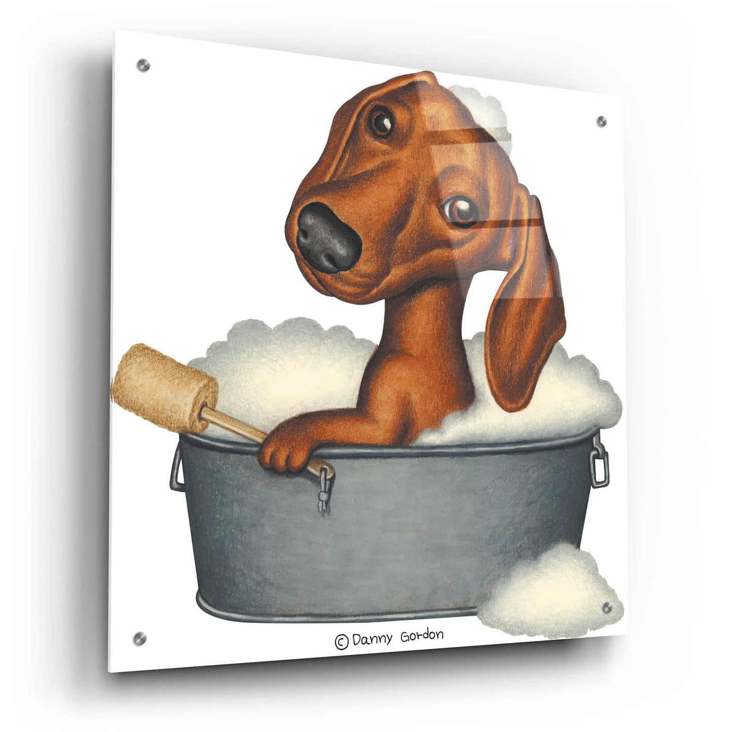 Epic Art 'Brown Dachshund Bubble Bath' by Danny Gordon Art, Acrylic Glass Wall Art,24x24