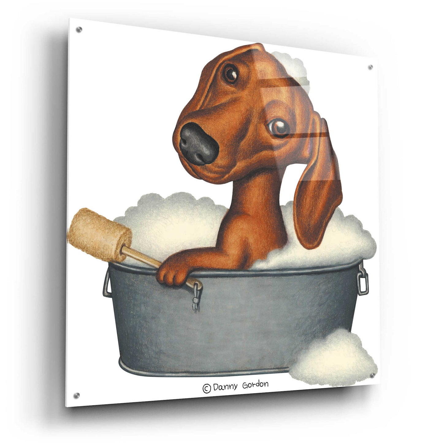 Epic Art 'Brown Dachshund Bubble Bath' by Danny Gordon Art, Acrylic Glass Wall Art,36x36