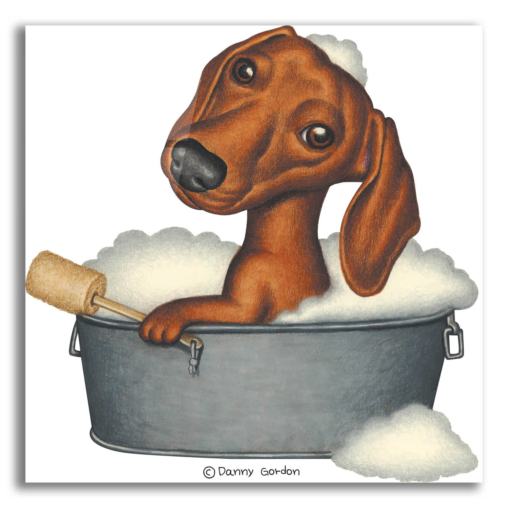 Epic Art 'Brown Dachshund Bubble Bath' by Danny Gordon Art, Acrylic Glass Wall Art