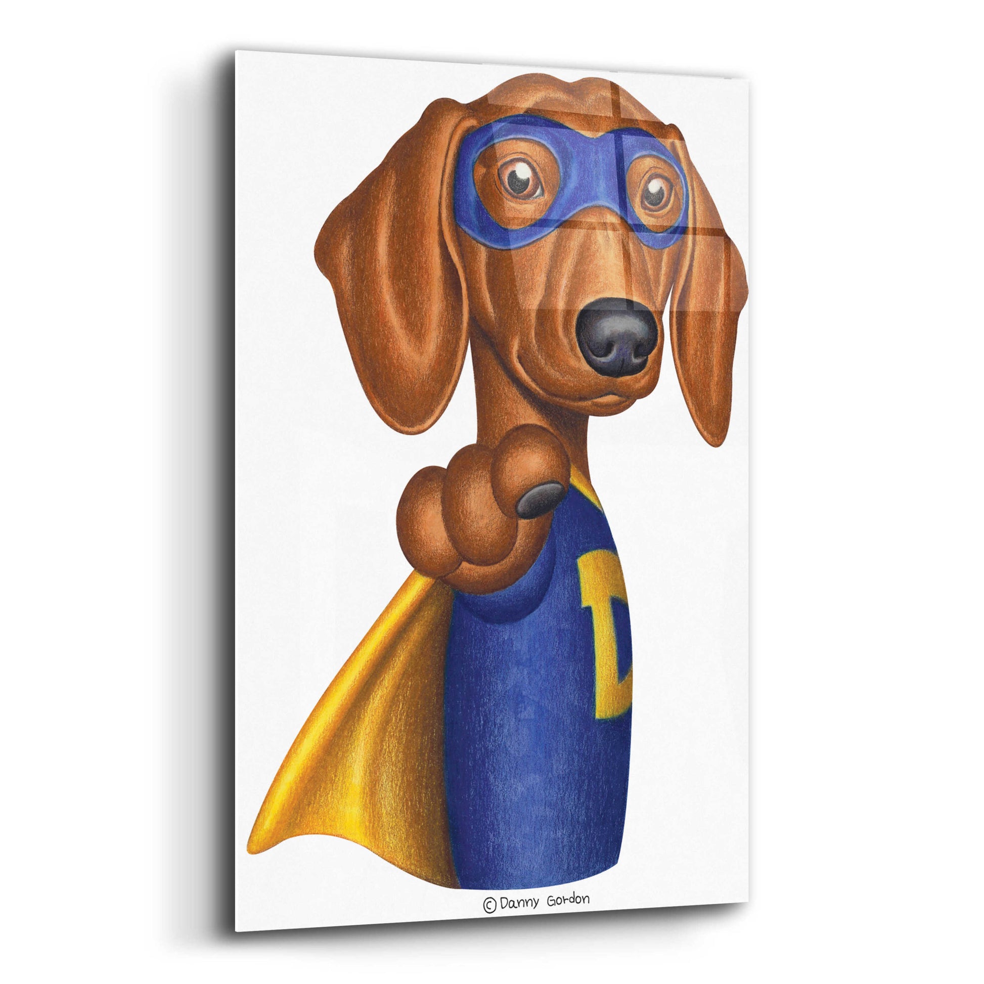 Epic Art 'Brown Dachshund Captain D' by Danny Gordon Art, Acrylic Glass Wall Art,12x16