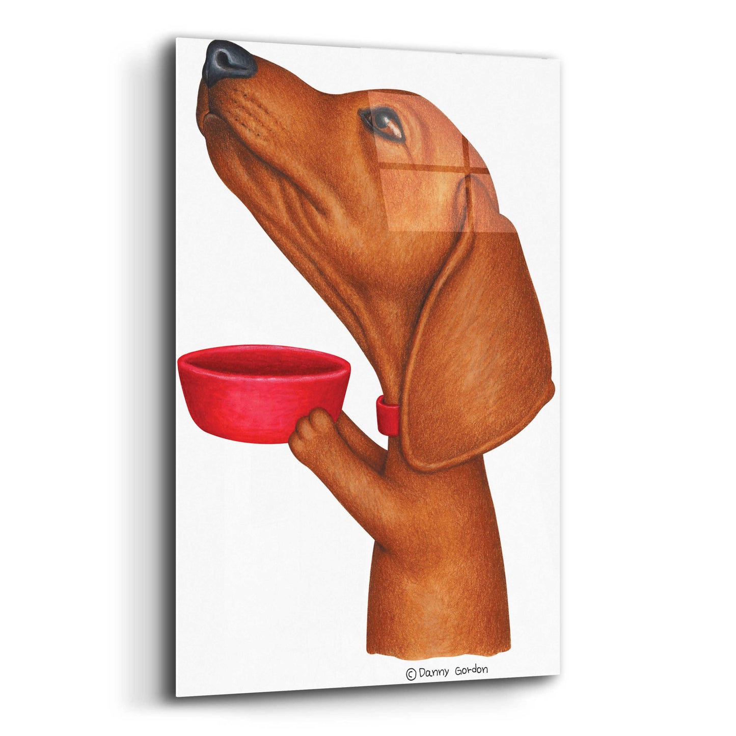 Epic Art 'Brown Dachshund Holding Red Bowl' by Danny Gordon Art, Acrylic Glass Wall Art,12x16