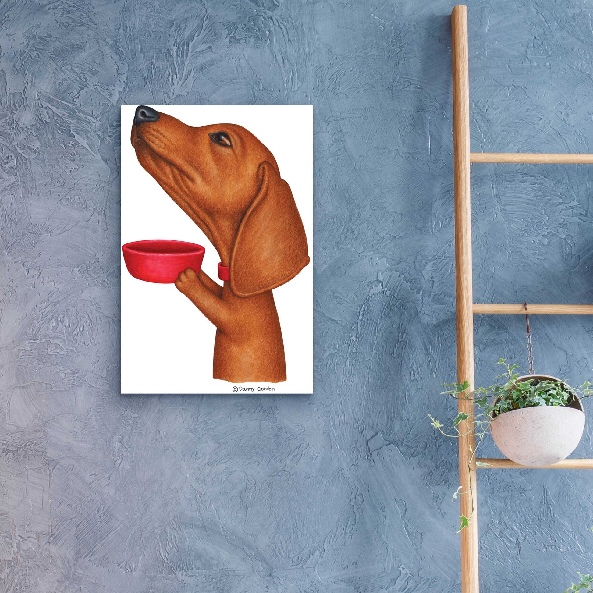 Epic Art 'Brown Dachshund Holding Red Bowl' by Danny Gordon Art, Acrylic Glass Wall Art,16x24