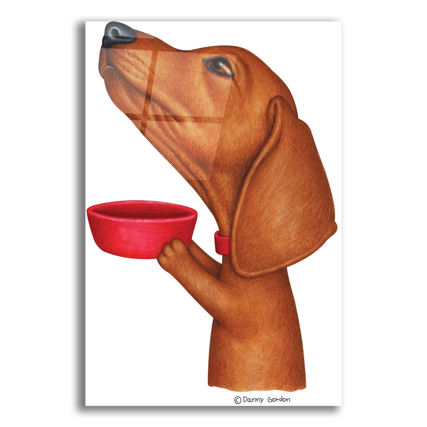 Epic Art 'Brown Dachshund Holding Red Bowl' by Danny Gordon Art, Acrylic Glass Wall Art