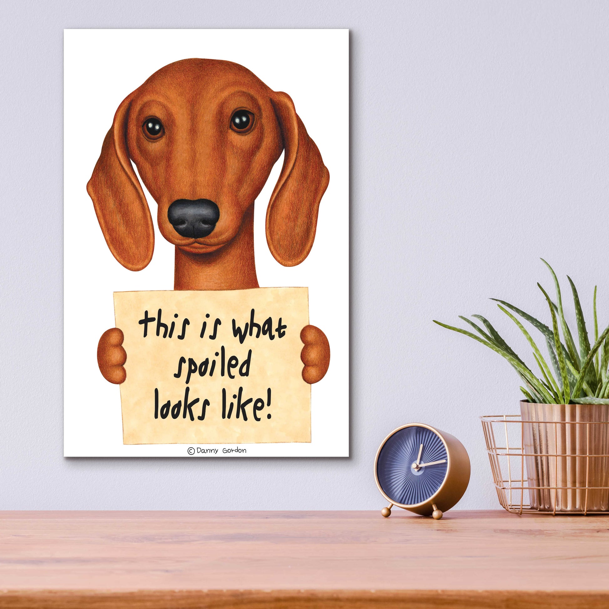 Epic Art 'Brown Dachshund with Spoiled Sign' by Danny Gordon Art, Acrylic Glass Wall Art,12x16