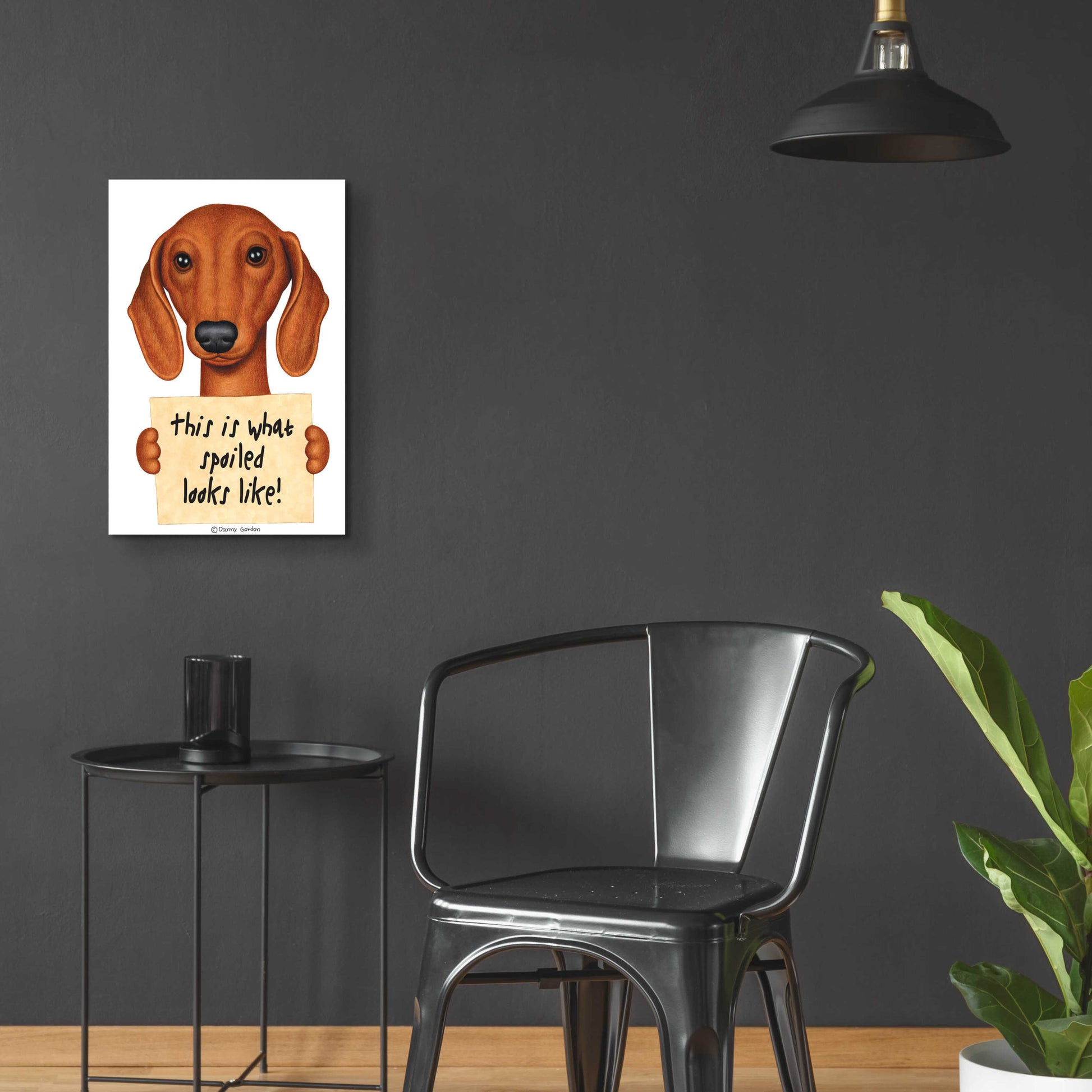 Epic Art 'Brown Dachshund with Spoiled Sign' by Danny Gordon Art, Acrylic Glass Wall Art,16x24