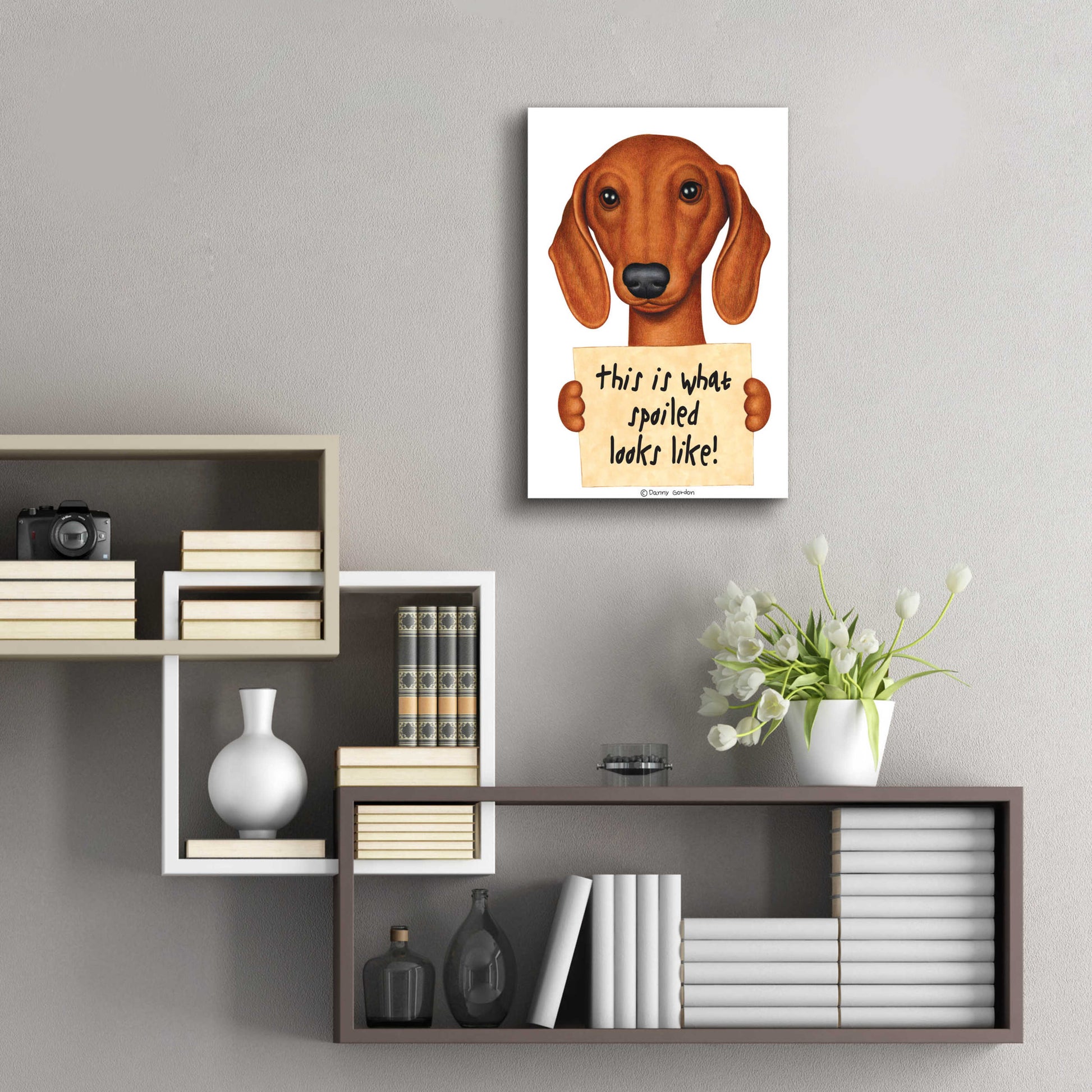 Epic Art 'Brown Dachshund with Spoiled Sign' by Danny Gordon Art, Acrylic Glass Wall Art,16x24