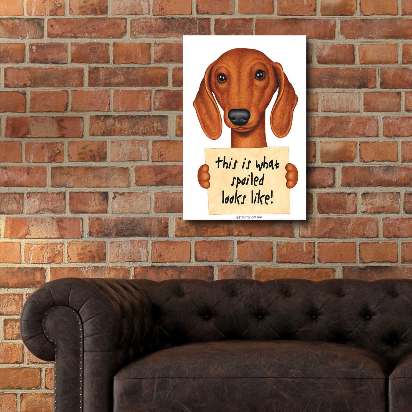 Epic Art 'Brown Dachshund with Spoiled Sign' by Danny Gordon Art, Acrylic Glass Wall Art,16x24