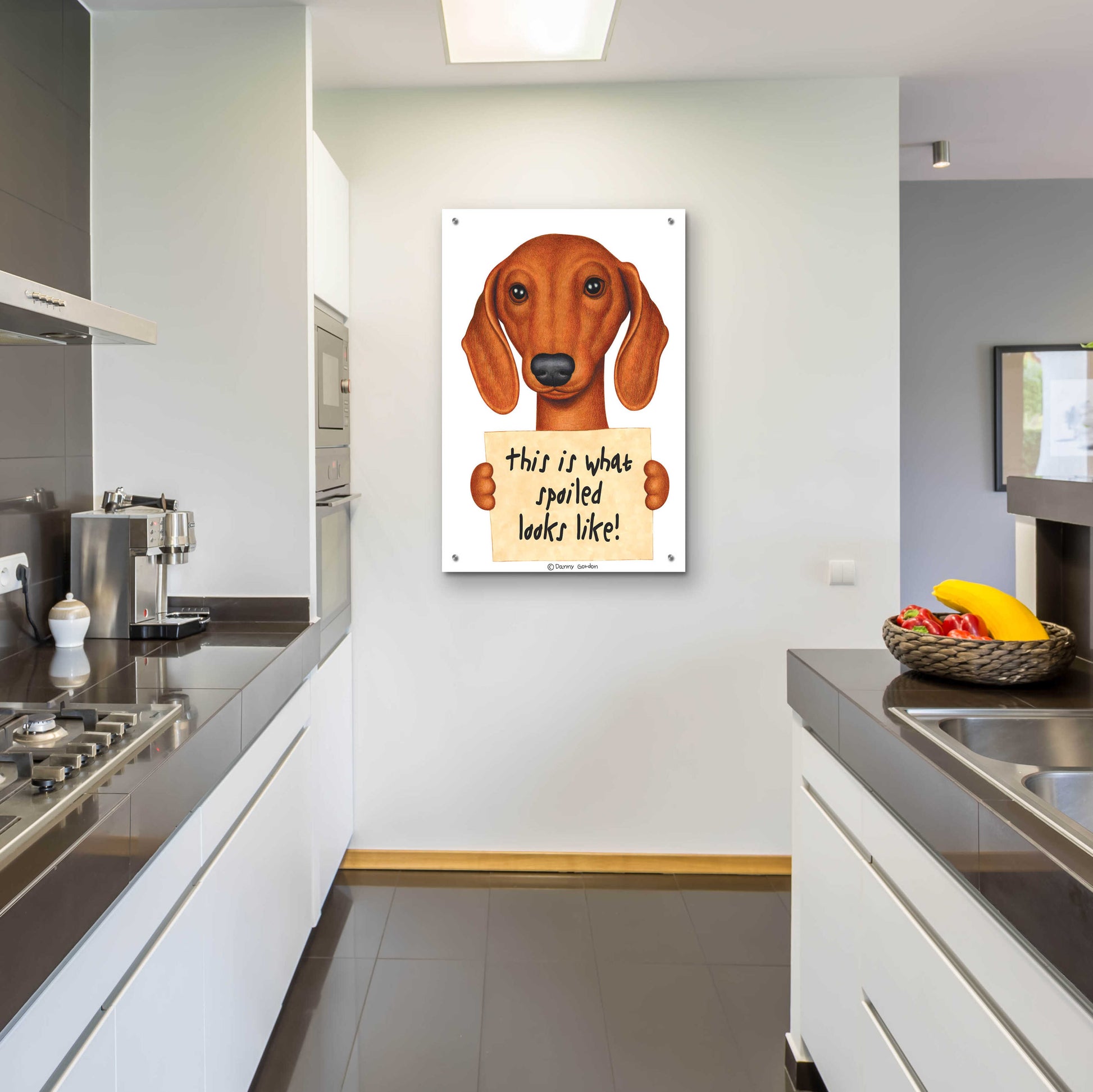 Epic Art 'Brown Dachshund with Spoiled Sign' by Danny Gordon Art, Acrylic Glass Wall Art,24x36