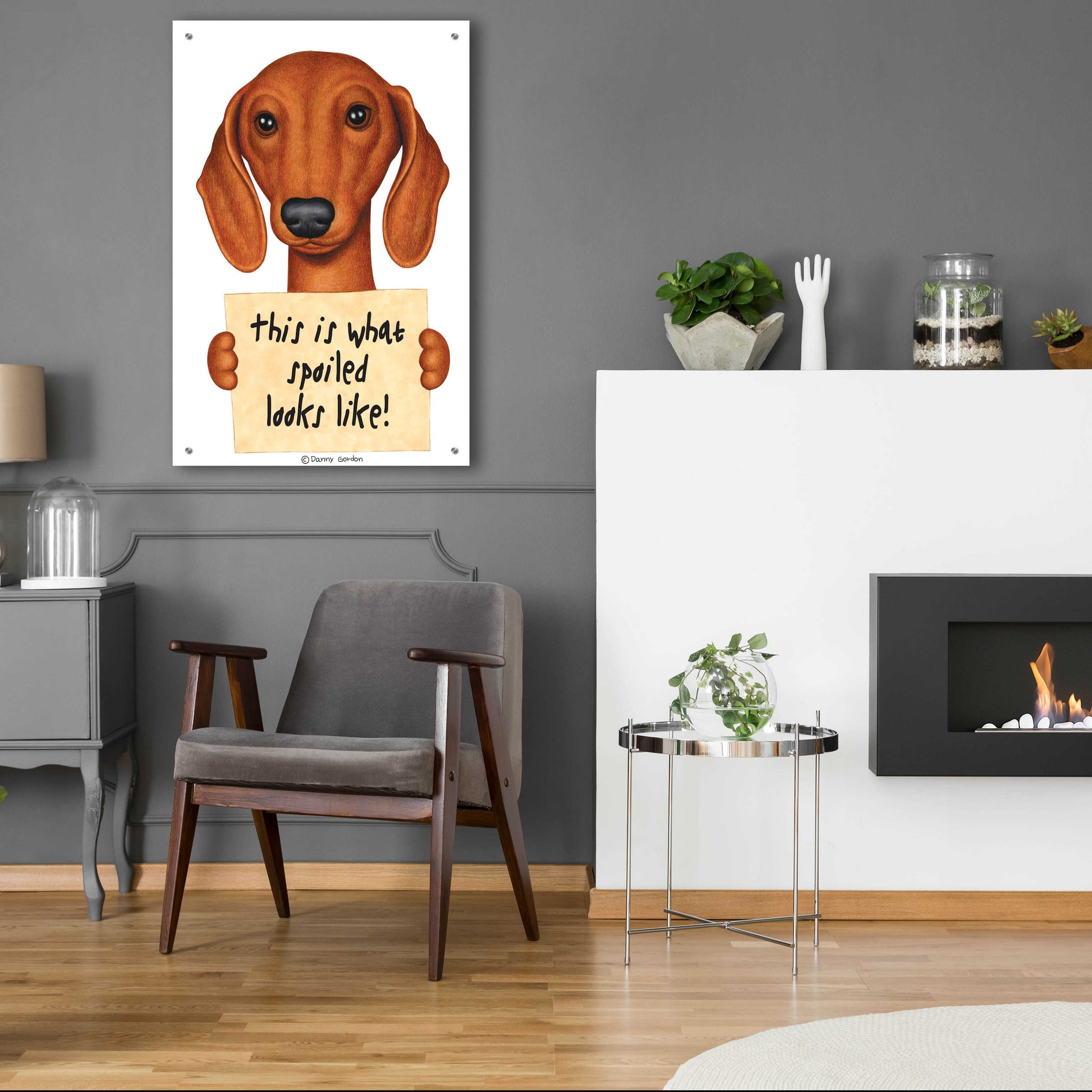 Epic Art 'Brown Dachshund with Spoiled Sign' by Danny Gordon Art, Acrylic Glass Wall Art,24x36