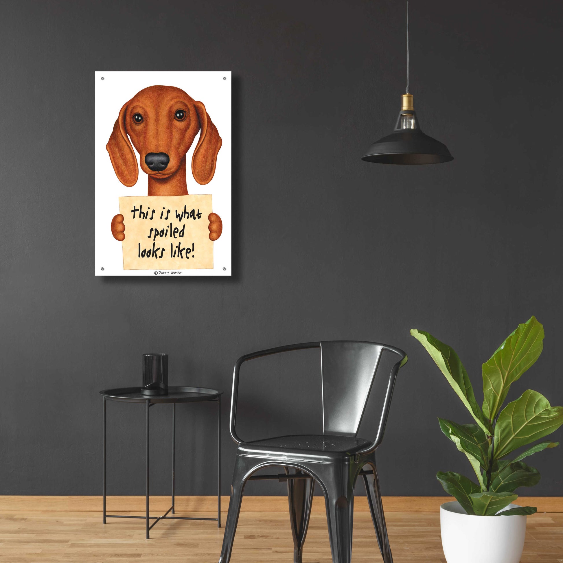 Epic Art 'Brown Dachshund with Spoiled Sign' by Danny Gordon Art, Acrylic Glass Wall Art,24x36