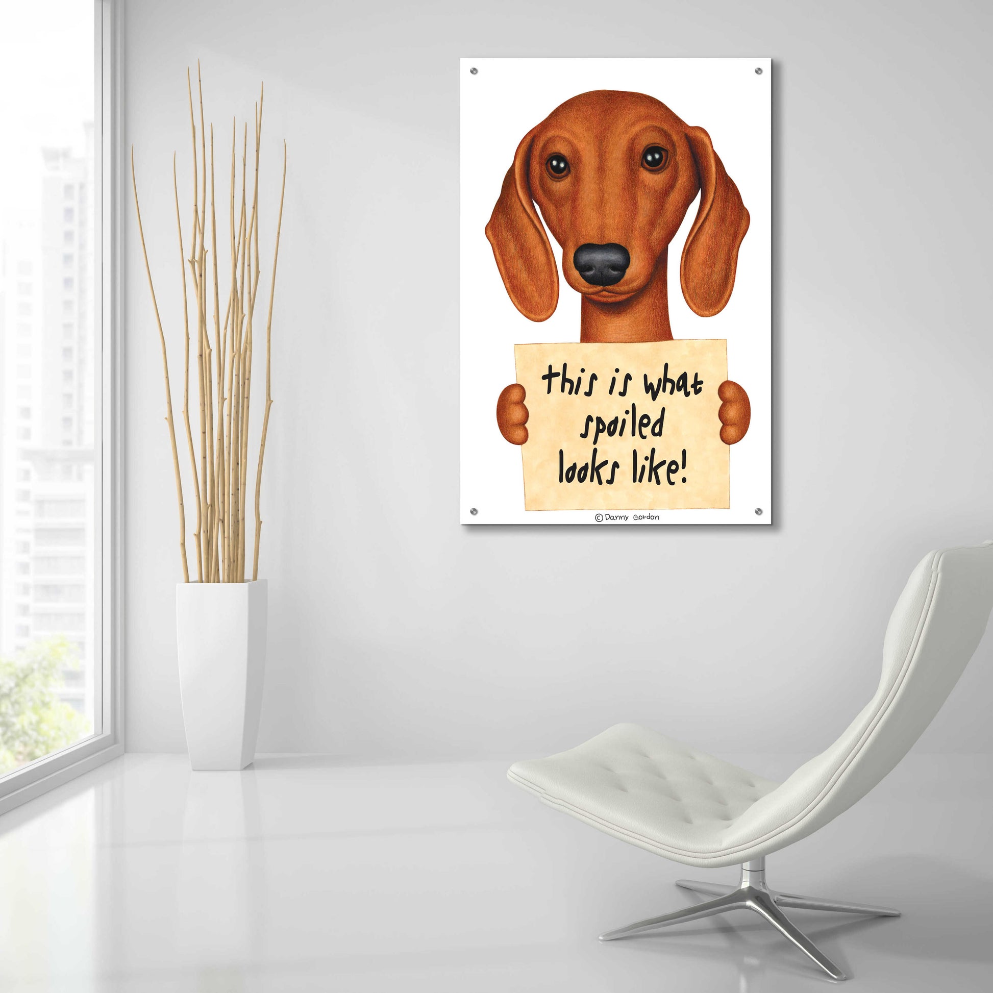 Epic Art 'Brown Dachshund with Spoiled Sign' by Danny Gordon Art, Acrylic Glass Wall Art,24x36