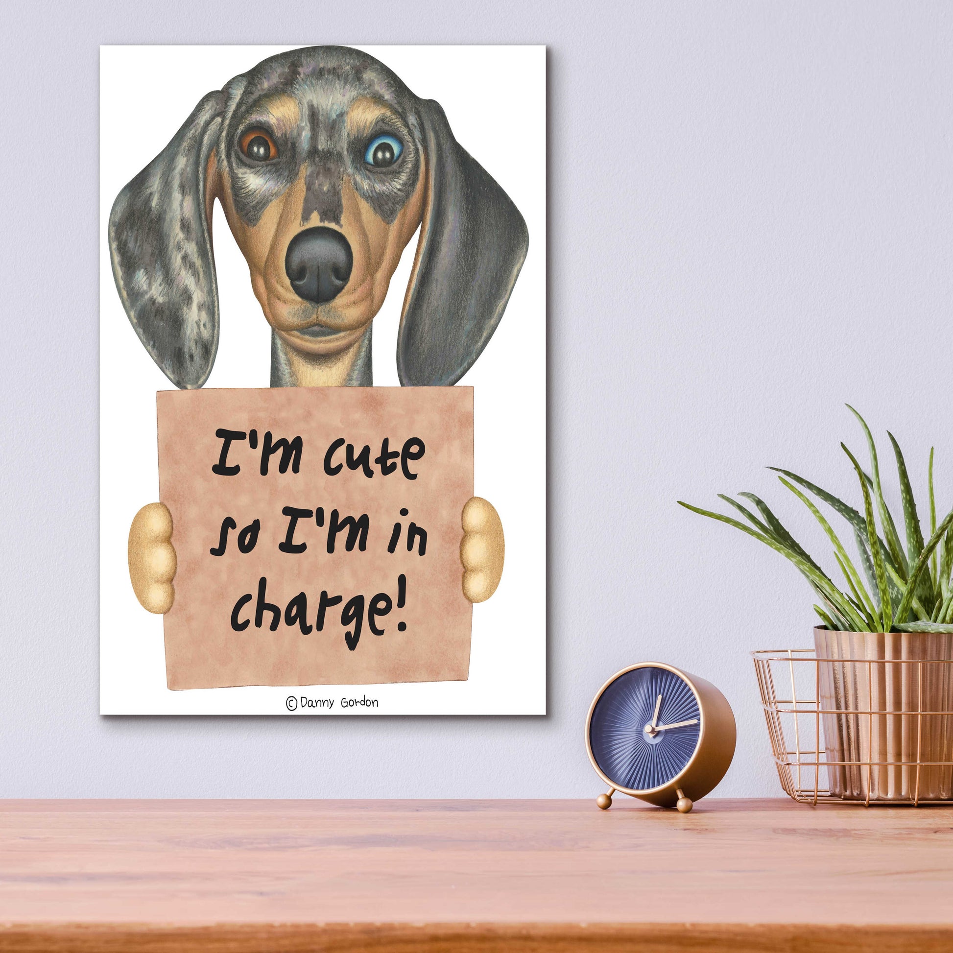 Epic Art 'Dappled Dachshund Blue Brown Eyes' by Danny Gordon Art, Acrylic Glass Wall Art,12x16