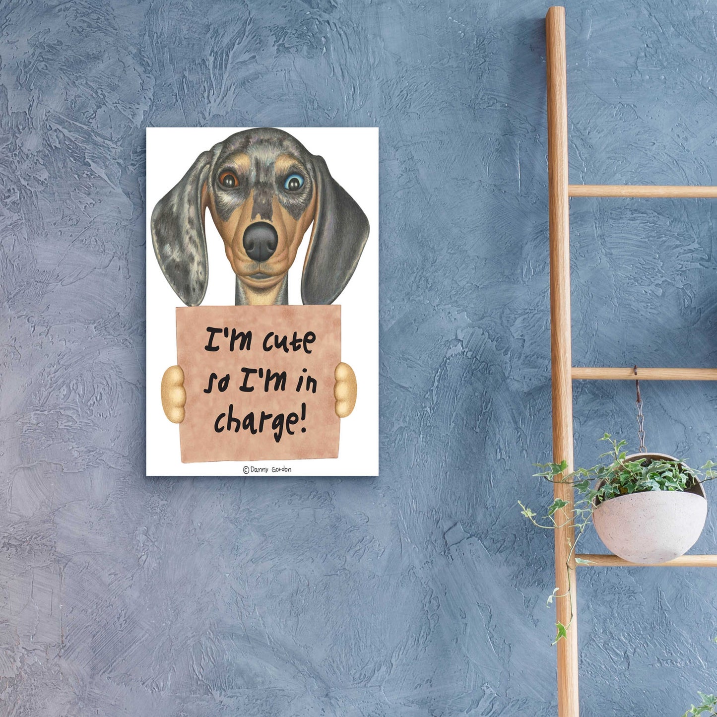 Epic Art 'Dappled Dachshund Blue Brown Eyes' by Danny Gordon Art, Acrylic Glass Wall Art,16x24