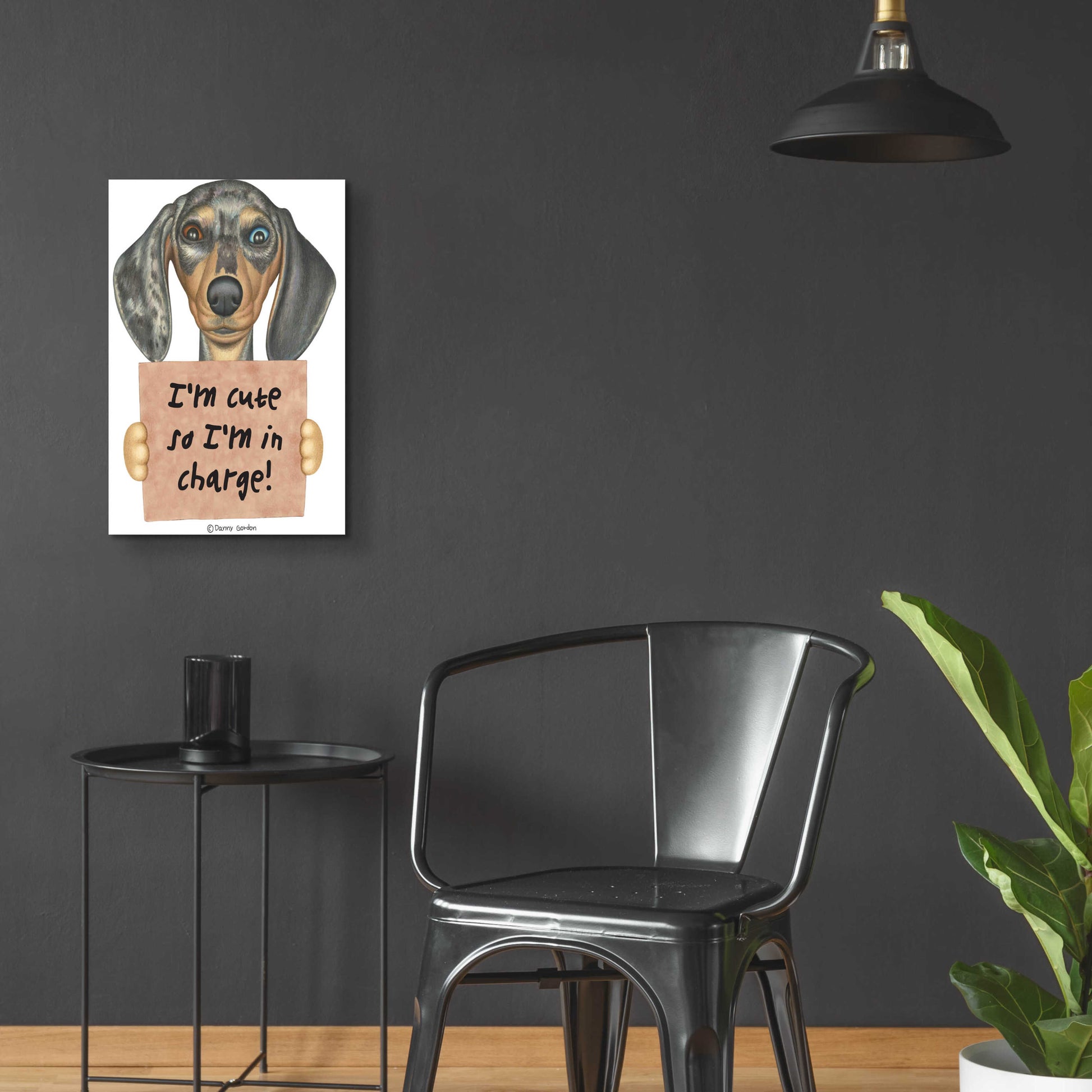 Epic Art 'Dappled Dachshund Blue Brown Eyes' by Danny Gordon Art, Acrylic Glass Wall Art,16x24