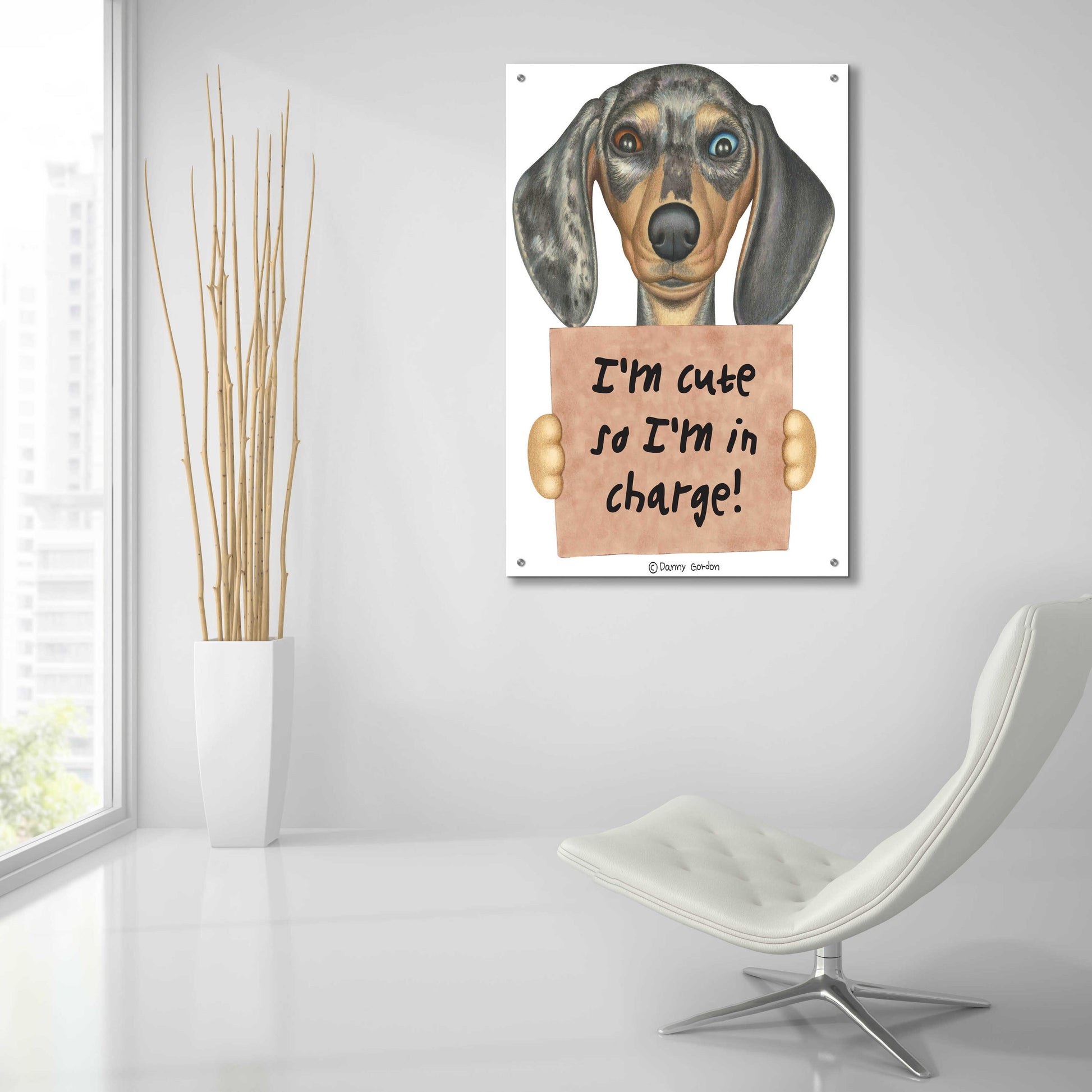 Epic Art 'Dappled Dachshund Blue Brown Eyes' by Danny Gordon Art, Acrylic Glass Wall Art,24x36