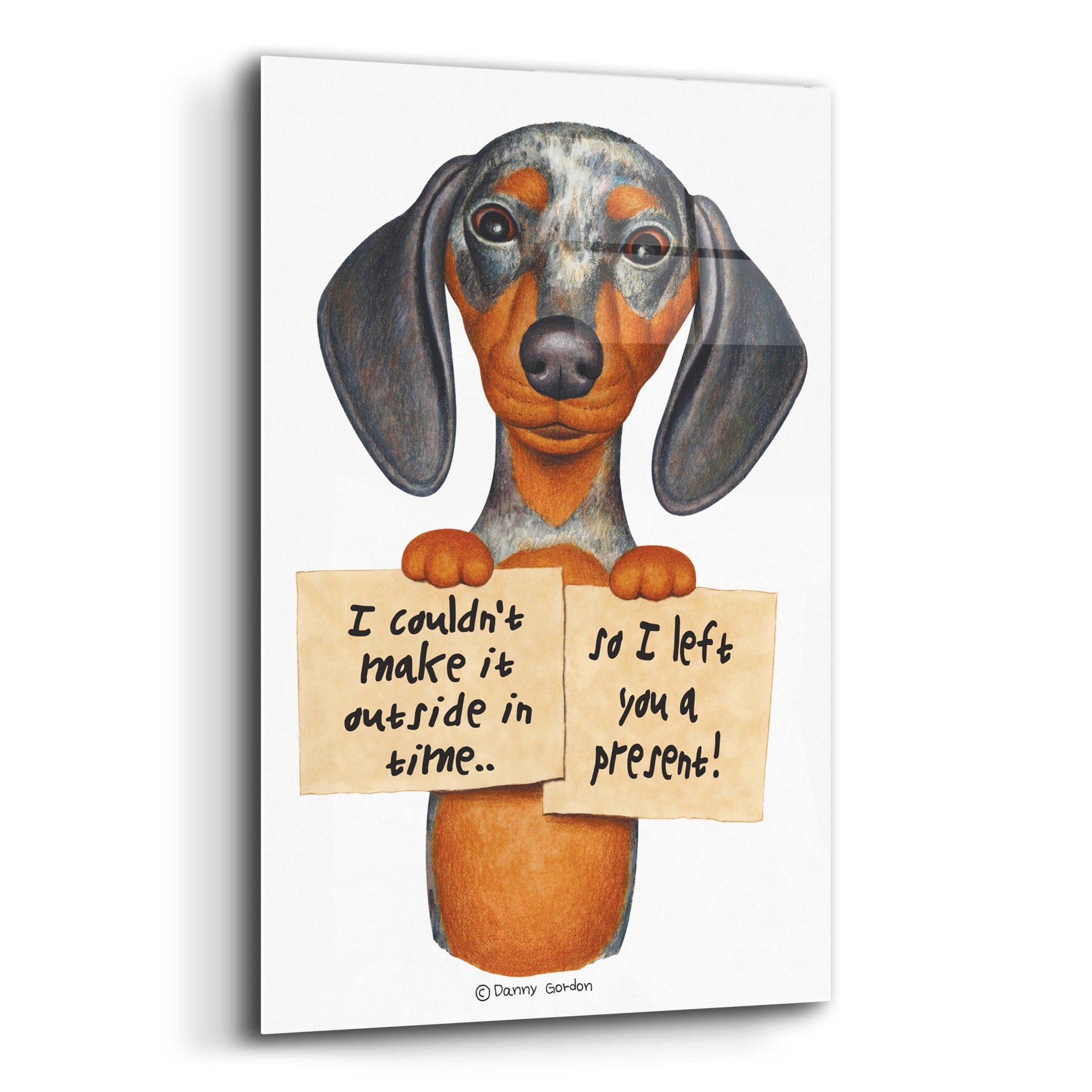 Epic Art 'Dappled Dachshund Two Signs' by Danny Gordon Art, Acrylic Glass Wall Art,12x16