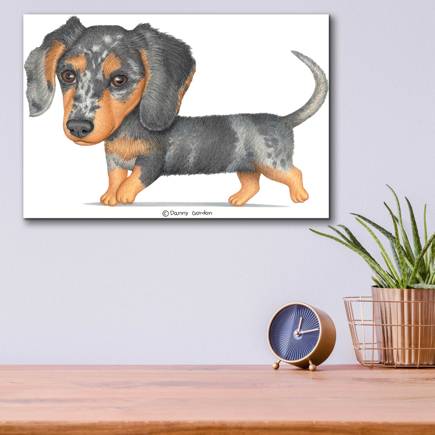 Epic Art 'Dappled Dachshund Walking' by Danny Gordon Art, Acrylic Glass Wall Art,16x12