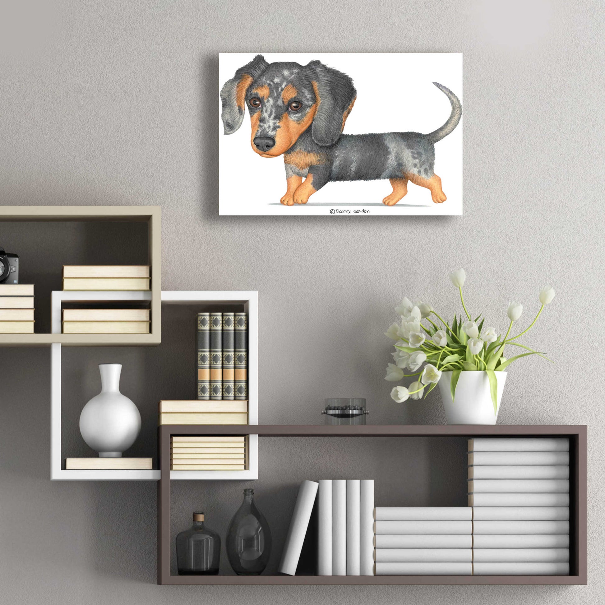 Epic Art 'Dappled Dachshund Walking' by Danny Gordon Art, Acrylic Glass Wall Art,24x16