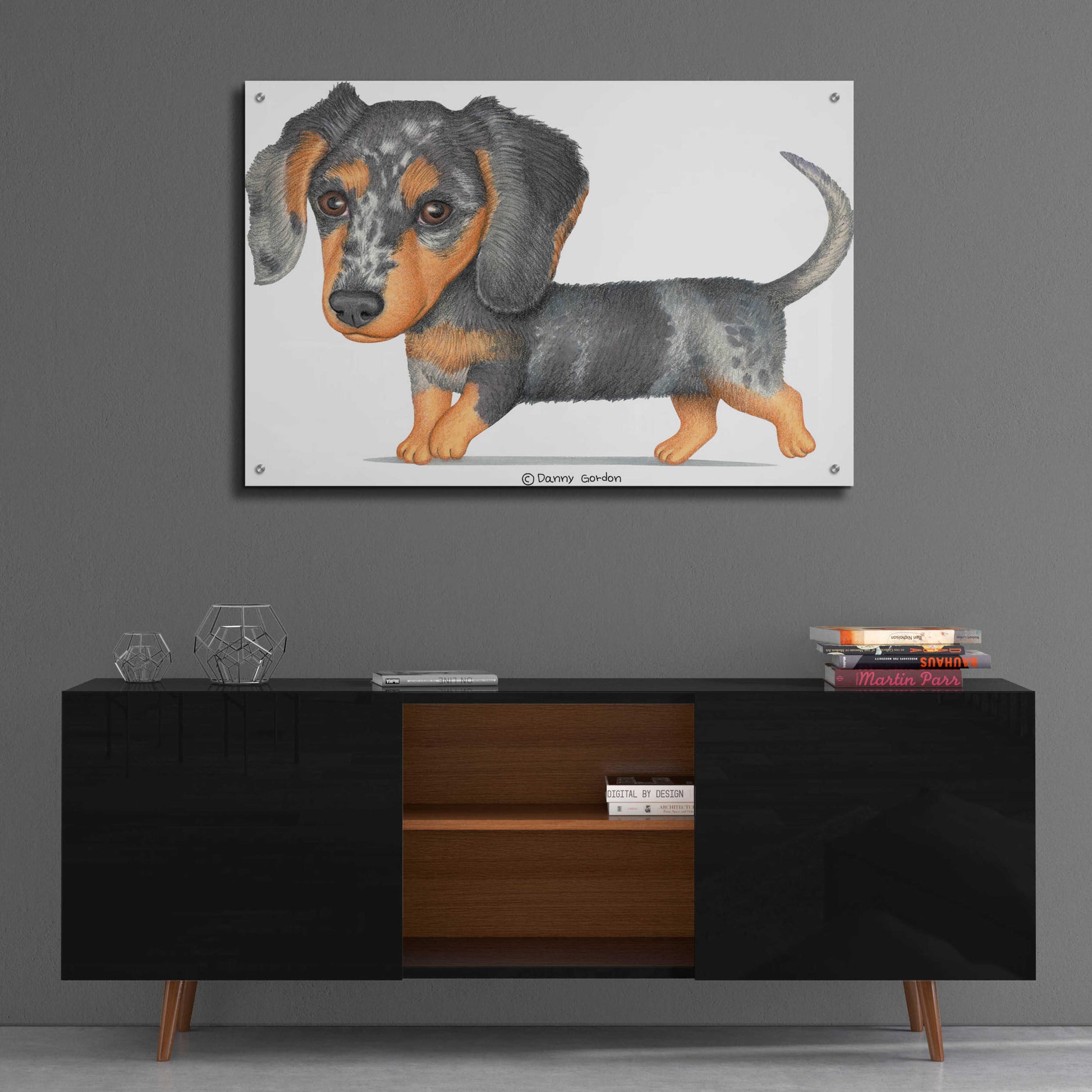 Epic Art 'Dappled Dachshund Walking' by Danny Gordon Art, Acrylic Glass Wall Art,36x24