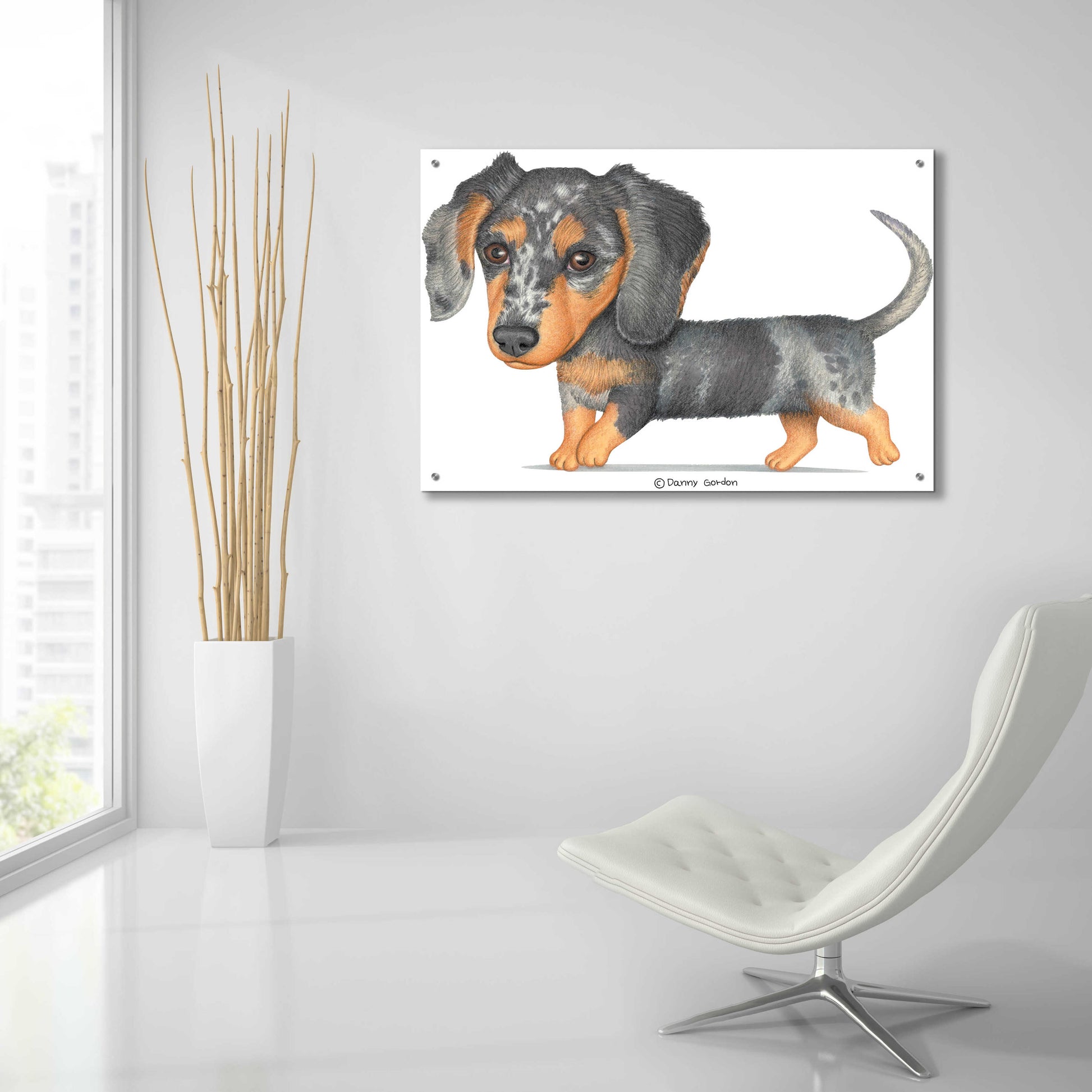 Epic Art 'Dappled Dachshund Walking' by Danny Gordon Art, Acrylic Glass Wall Art,36x24