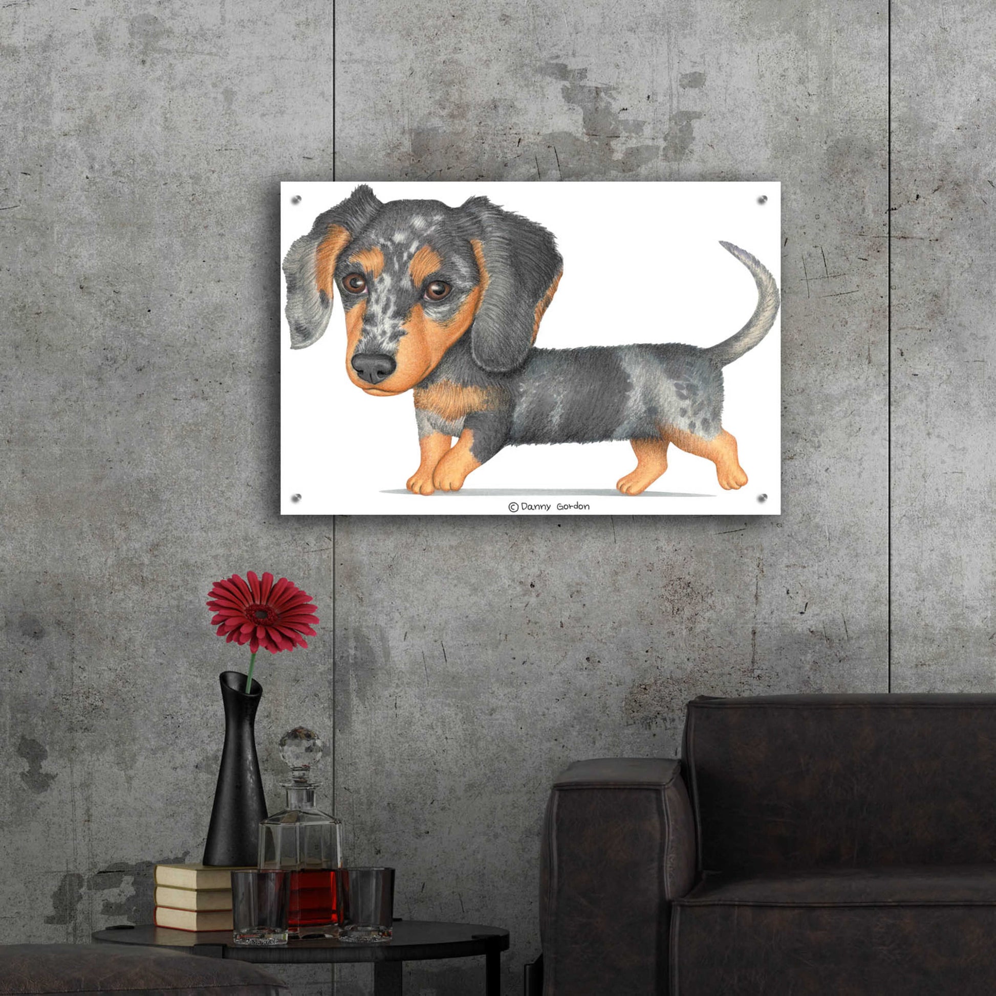 Epic Art 'Dappled Dachshund Walking' by Danny Gordon Art, Acrylic Glass Wall Art,36x24