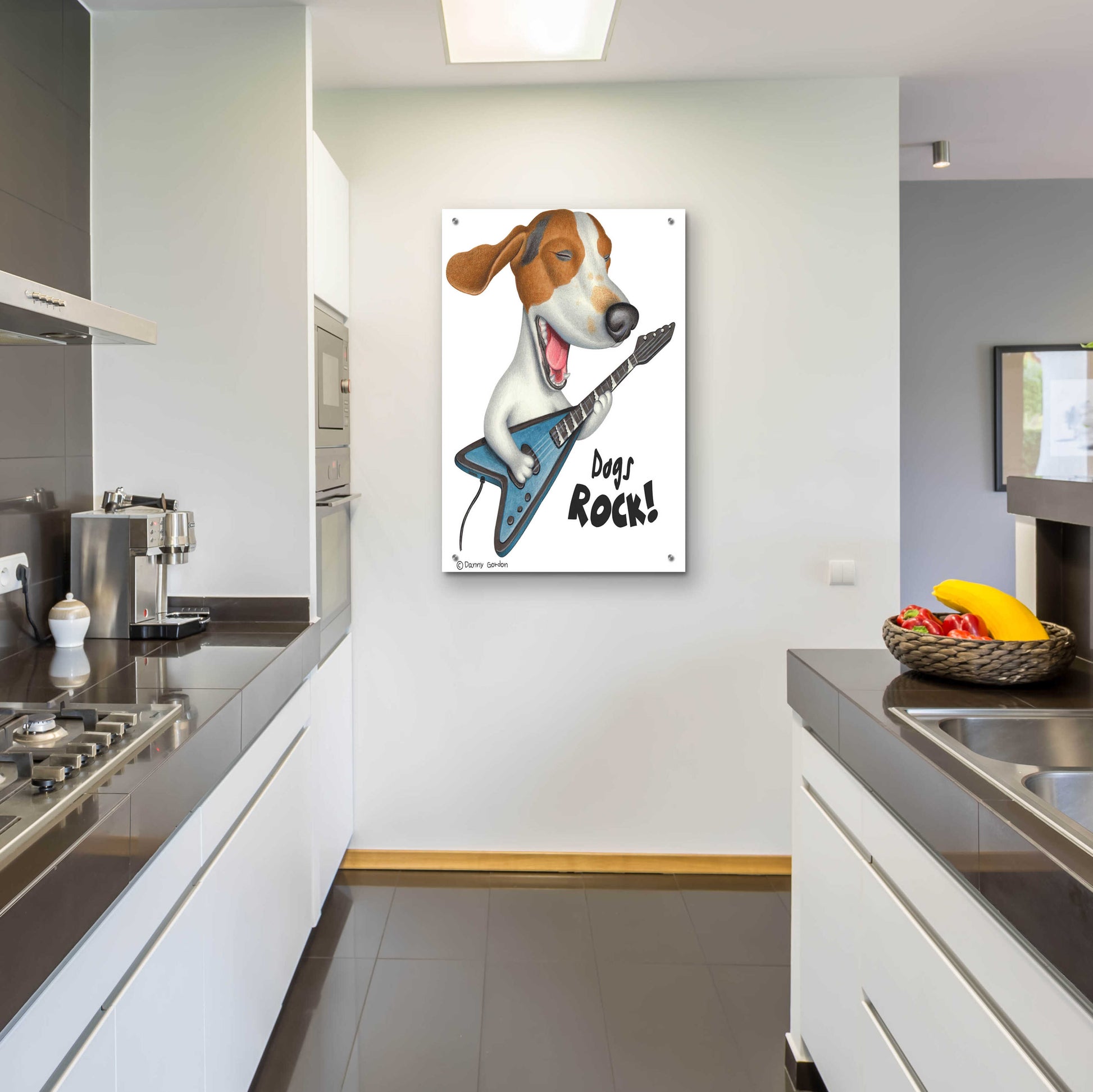 Epic Art 'Basset Hound Dogs Rock' by Danny Gordon Art, Acrylic Glass Wall Art,24x36