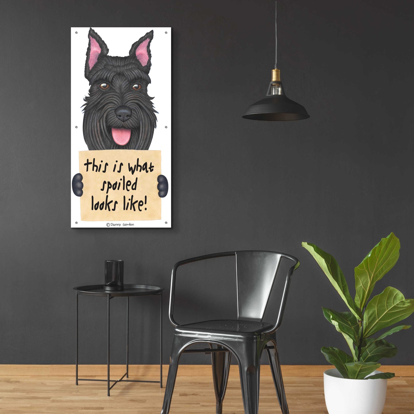 Epic Art 'Black Schnauzer Cropped Ears' by Danny Gordon Art, Acrylic Glass Wall Art,24x48