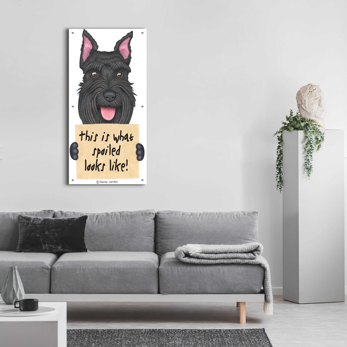 Epic Art 'Black Schnauzer Cropped Ears' by Danny Gordon Art, Acrylic Glass Wall Art,24x48