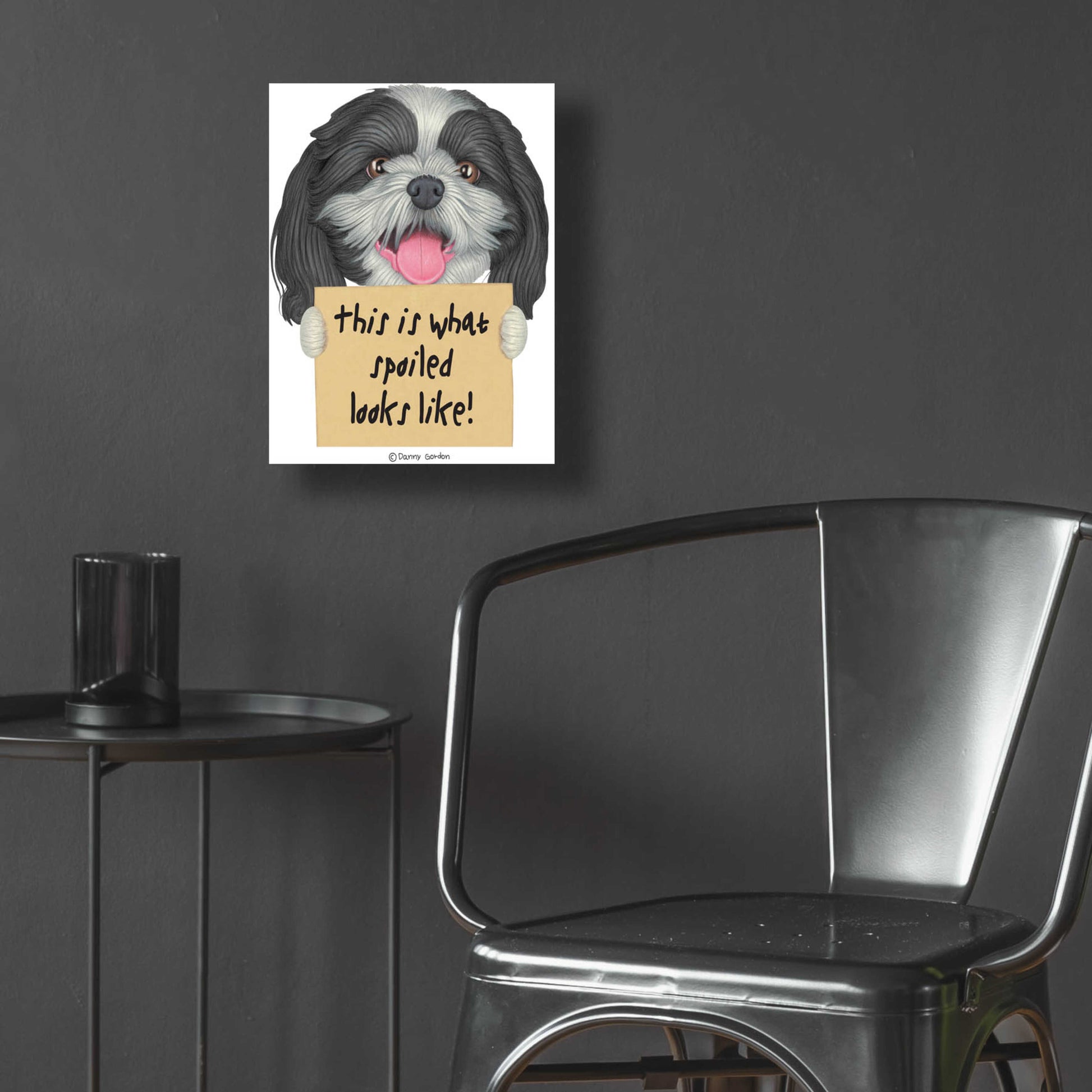 Epic Art 'Black White Shih Tzu with Sign' by Danny Gordon Art, Acrylic Glass Wall Art,12x16