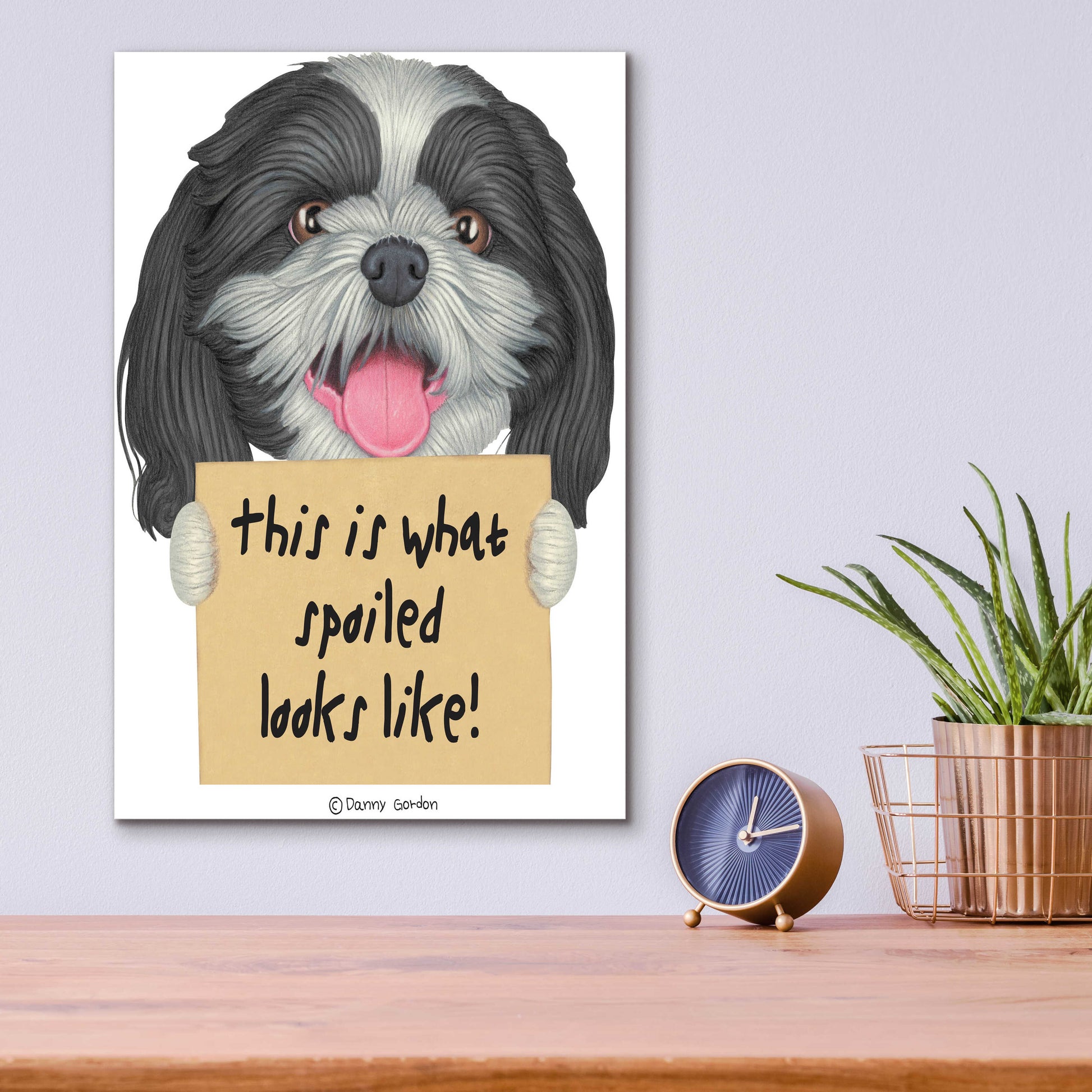 Epic Art 'Black White Shih Tzu with Sign' by Danny Gordon Art, Acrylic Glass Wall Art,12x16