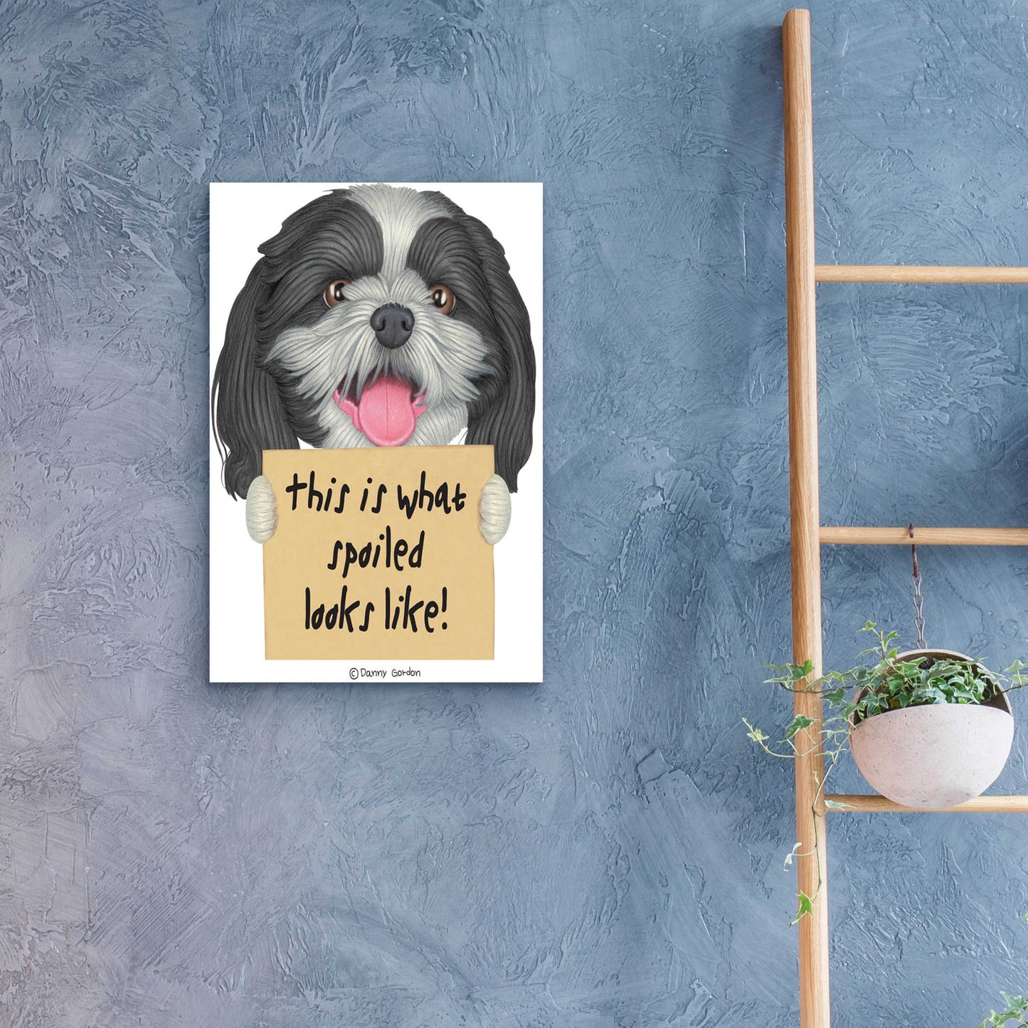 Epic Art 'Black White Shih Tzu with Sign' by Danny Gordon Art, Acrylic Glass Wall Art,16x24