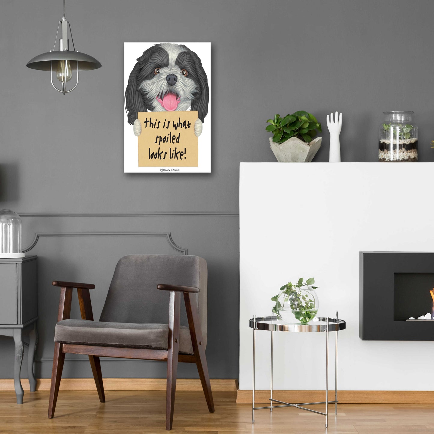 Epic Art 'Black White Shih Tzu with Sign' by Danny Gordon Art, Acrylic Glass Wall Art,16x24