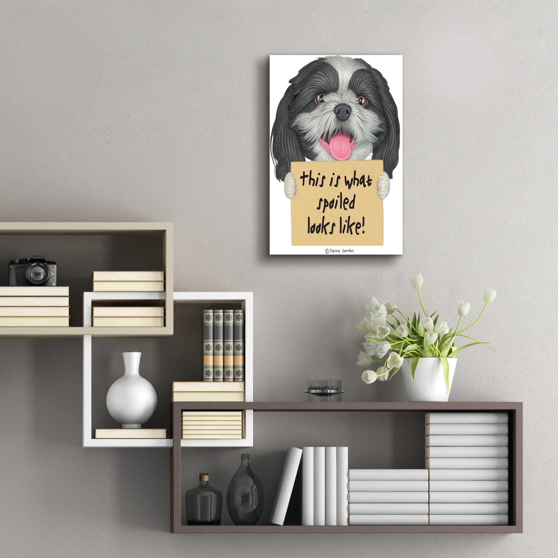 Epic Art 'Black White Shih Tzu with Sign' by Danny Gordon Art, Acrylic Glass Wall Art,16x24