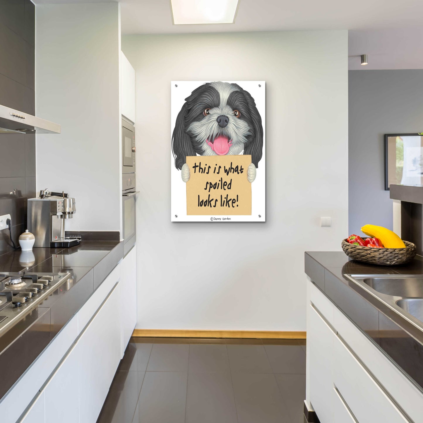 Epic Art 'Black White Shih Tzu with Sign' by Danny Gordon Art, Acrylic Glass Wall Art,24x36