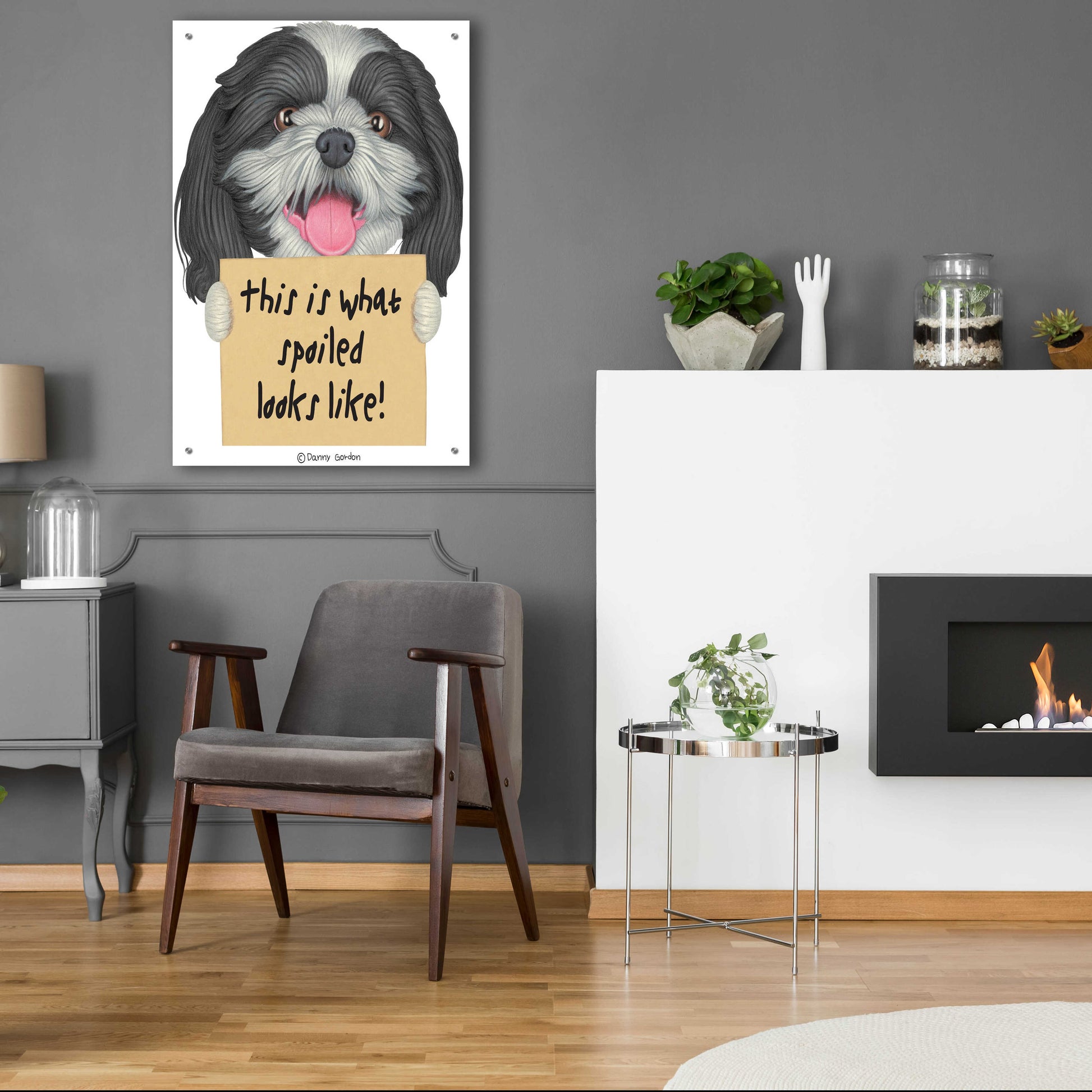 Epic Art 'Black White Shih Tzu with Sign' by Danny Gordon Art, Acrylic Glass Wall Art,24x36