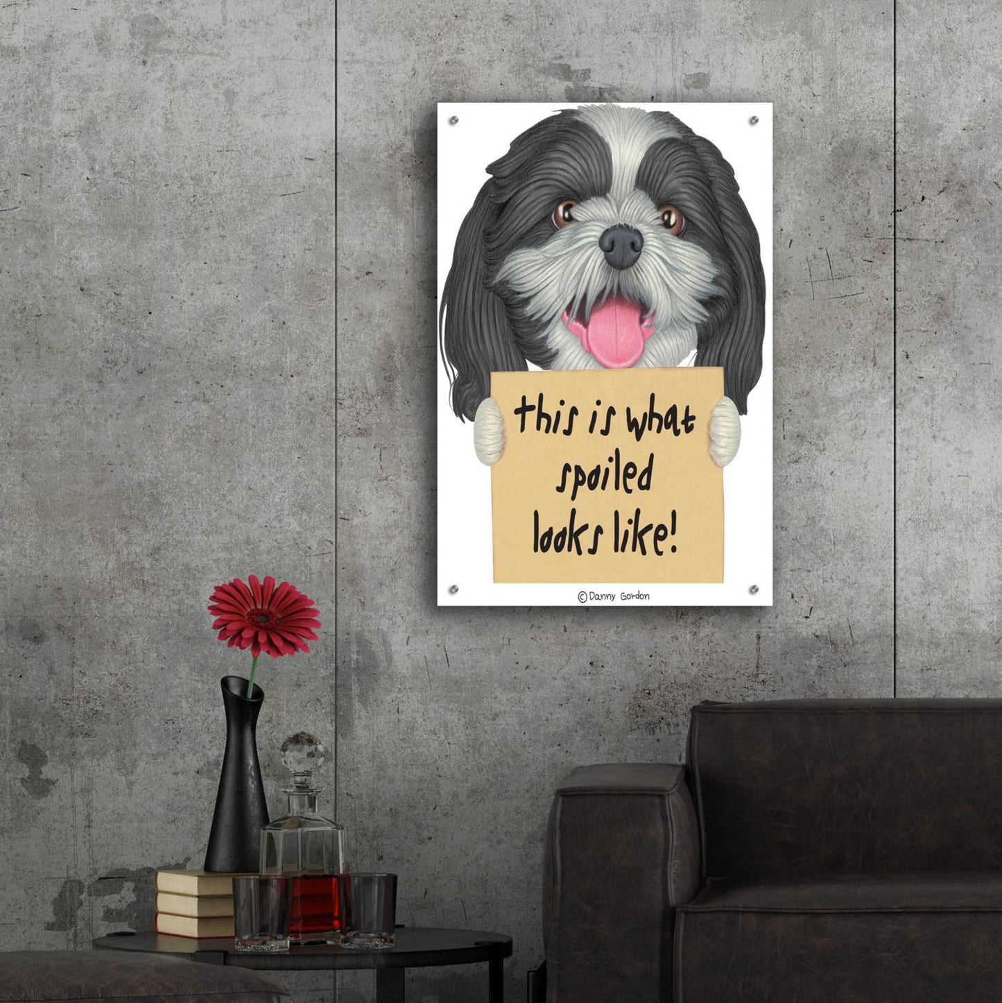 Epic Art 'Black White Shih Tzu with Sign' by Danny Gordon Art, Acrylic Glass Wall Art,24x36