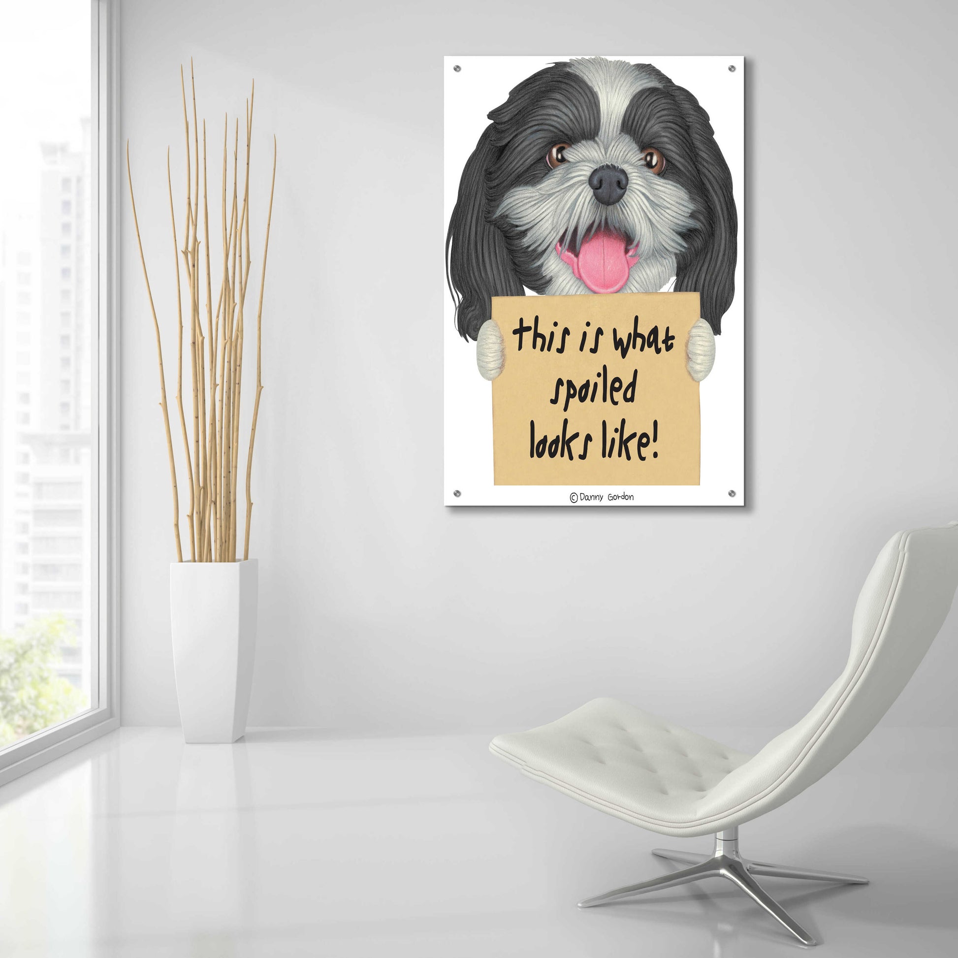 Epic Art 'Black White Shih Tzu with Sign' by Danny Gordon Art, Acrylic Glass Wall Art,24x36