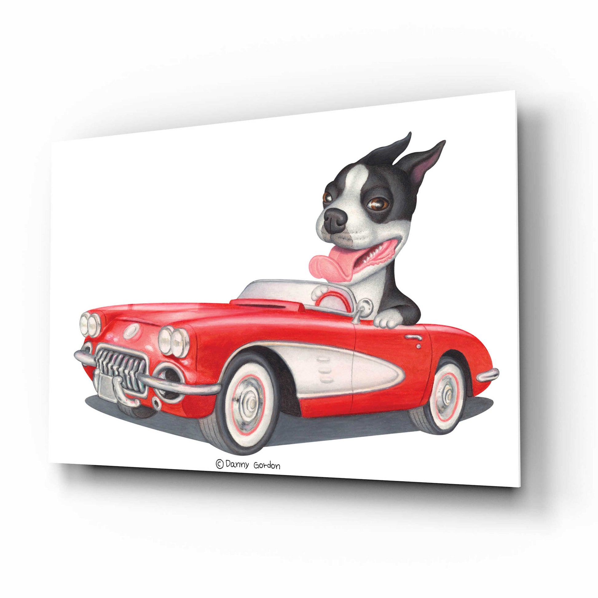 Epic Art 'Boston Terrier in Red Corvette' by Danny Gordon Art, Acrylic Glass Wall Art,16x12