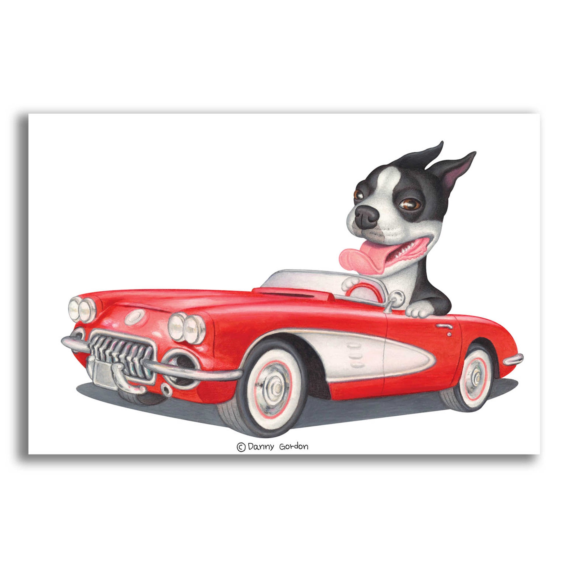 Epic Art 'Boston Terrier in Red Corvette' by Danny Gordon Art, Acrylic Glass Wall Art,24x16