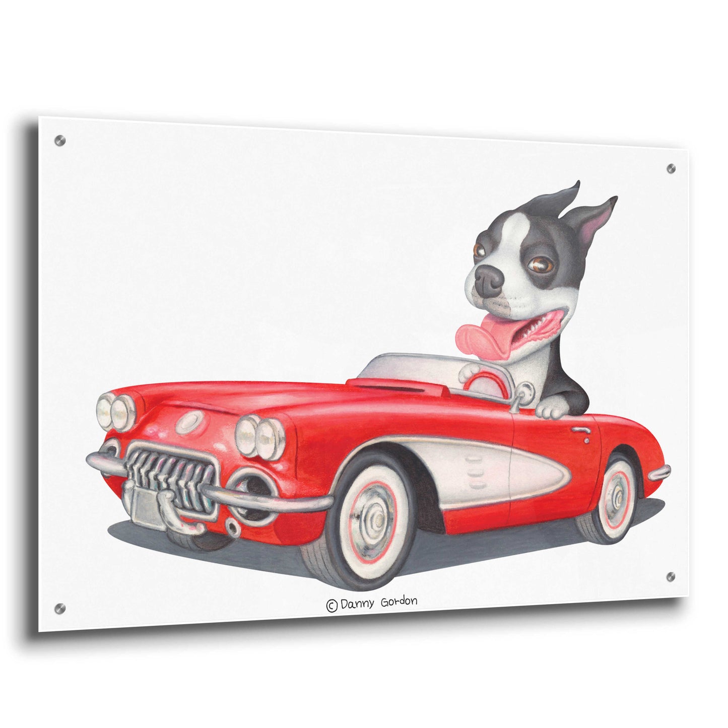 Epic Art 'Boston Terrier in Red Corvette' by Danny Gordon Art, Acrylic Glass Wall Art,36x24