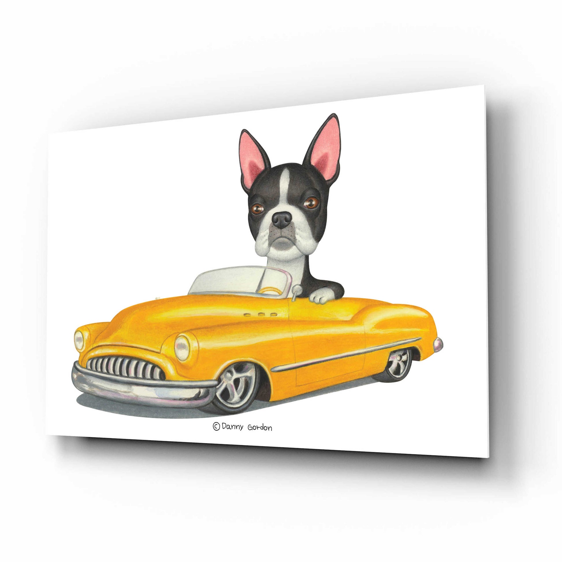 Epic Art 'Boston Terrier in Yellow Car' by Danny Gordon Art, Acrylic Glass Wall Art,16x12