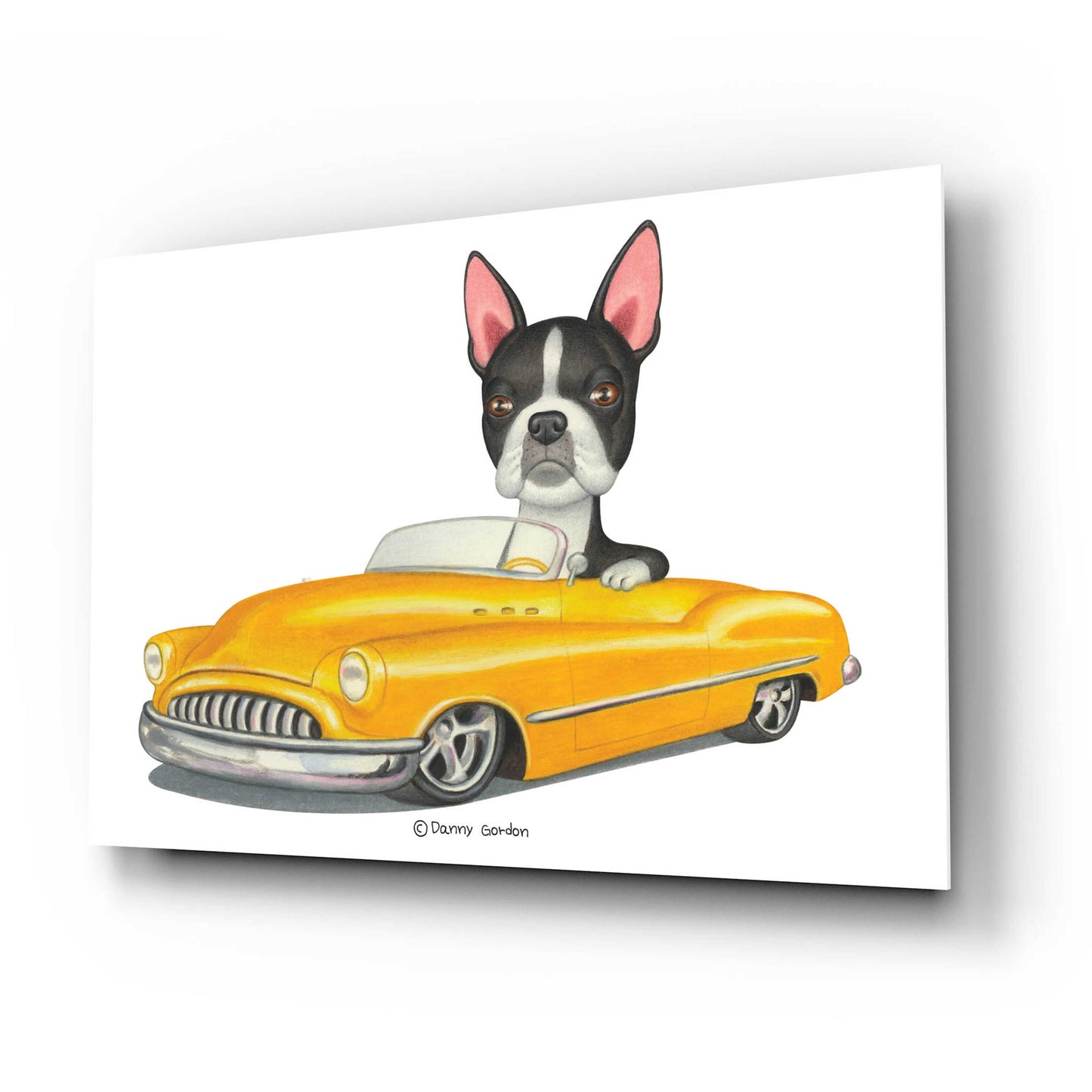 Epic Art 'Boston Terrier in Yellow Car' by Danny Gordon Art, Acrylic Glass Wall Art,24x16