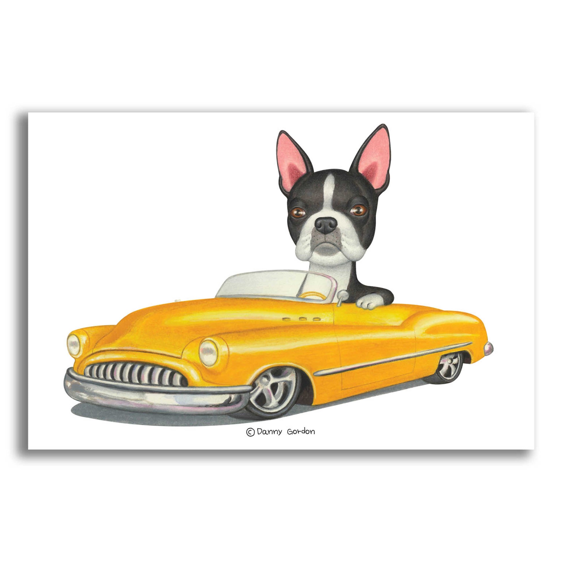 Epic Art 'Boston Terrier in Yellow Car' by Danny Gordon Art, Acrylic Glass Wall Art,24x16