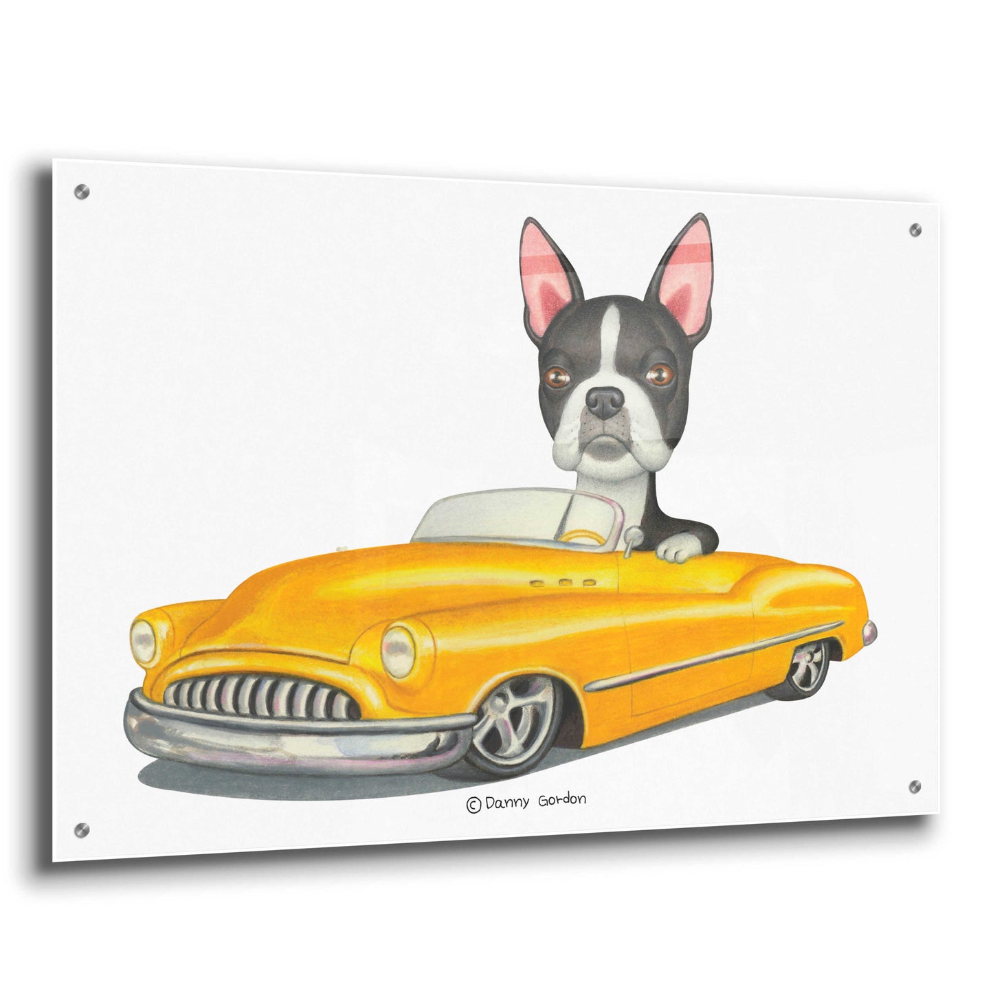 Epic Art 'Boston Terrier in Yellow Car' by Danny Gordon Art, Acrylic Glass Wall Art,36x24