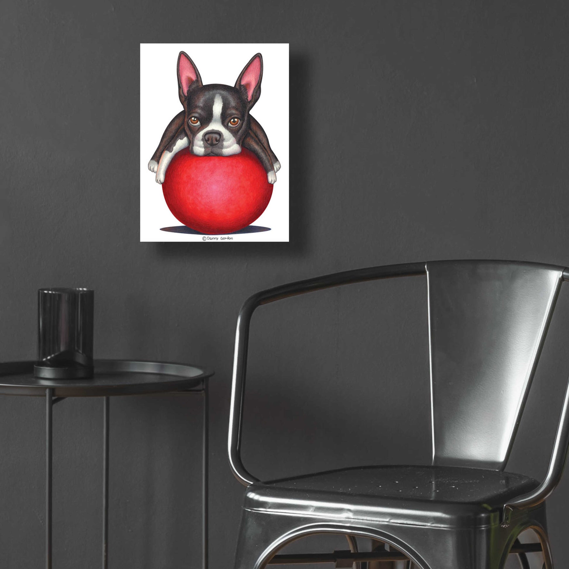 Epic Art 'Boston Terrier on Red Ball' by Danny Gordon Art, Acrylic Glass Wall Art,12x16