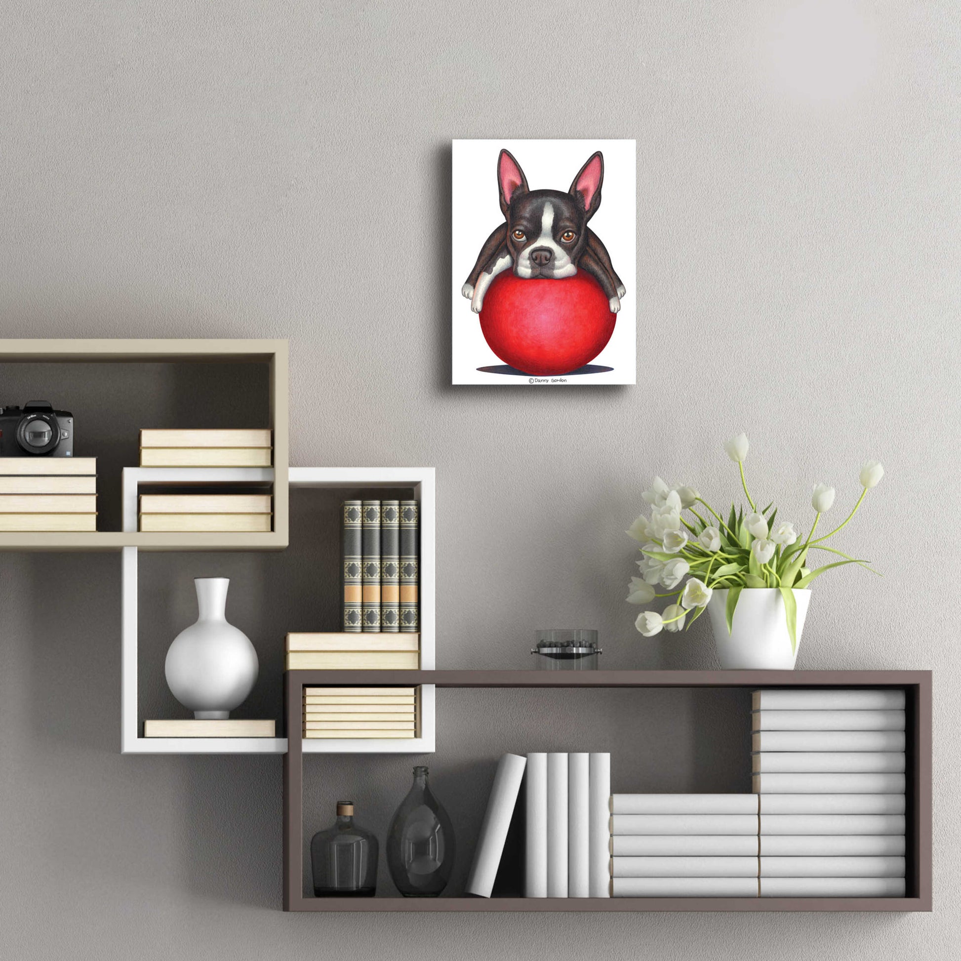 Epic Art 'Boston Terrier on Red Ball' by Danny Gordon Art, Acrylic Glass Wall Art,12x16